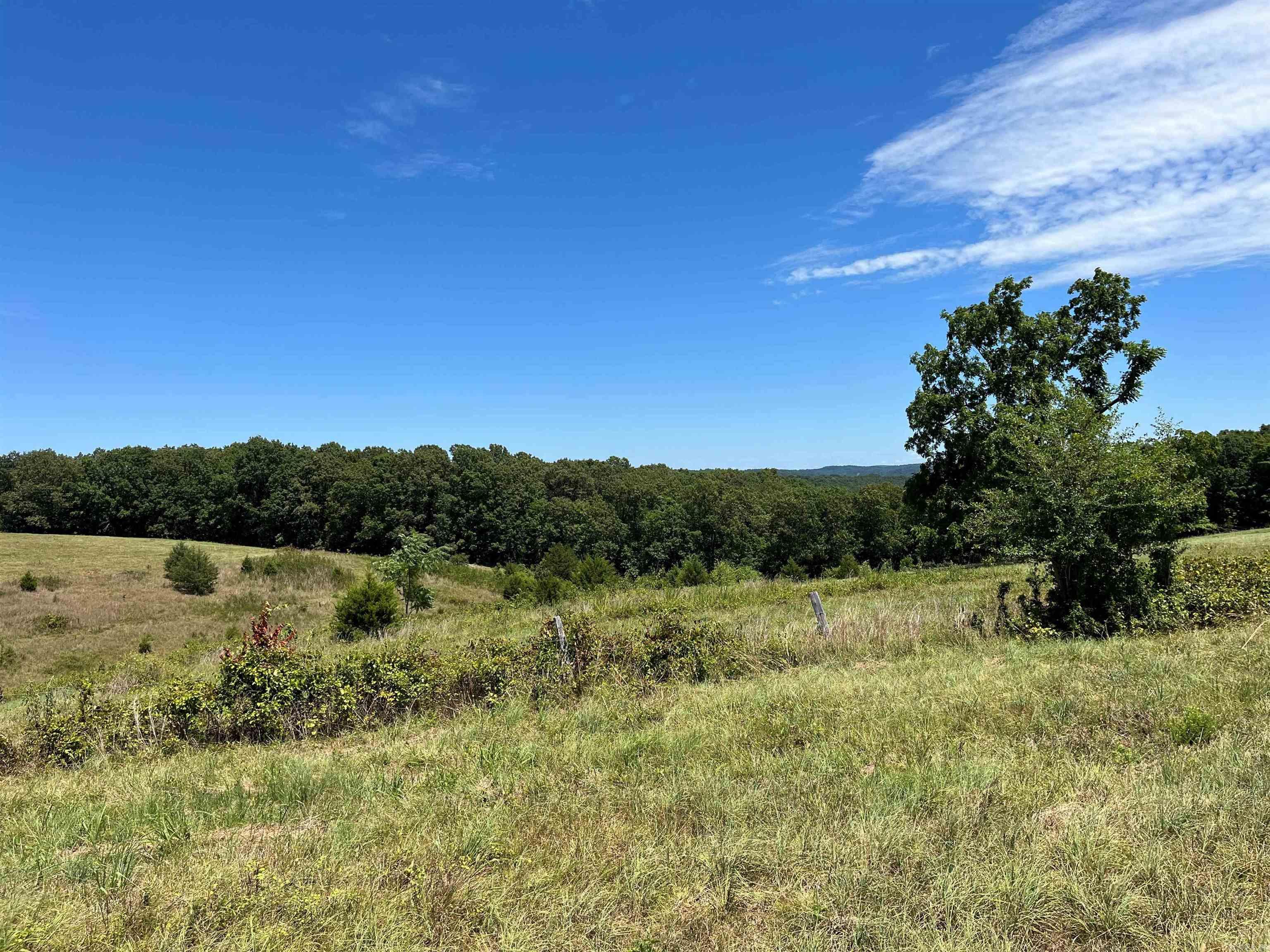 00 Gaylor  Mountain View, AR