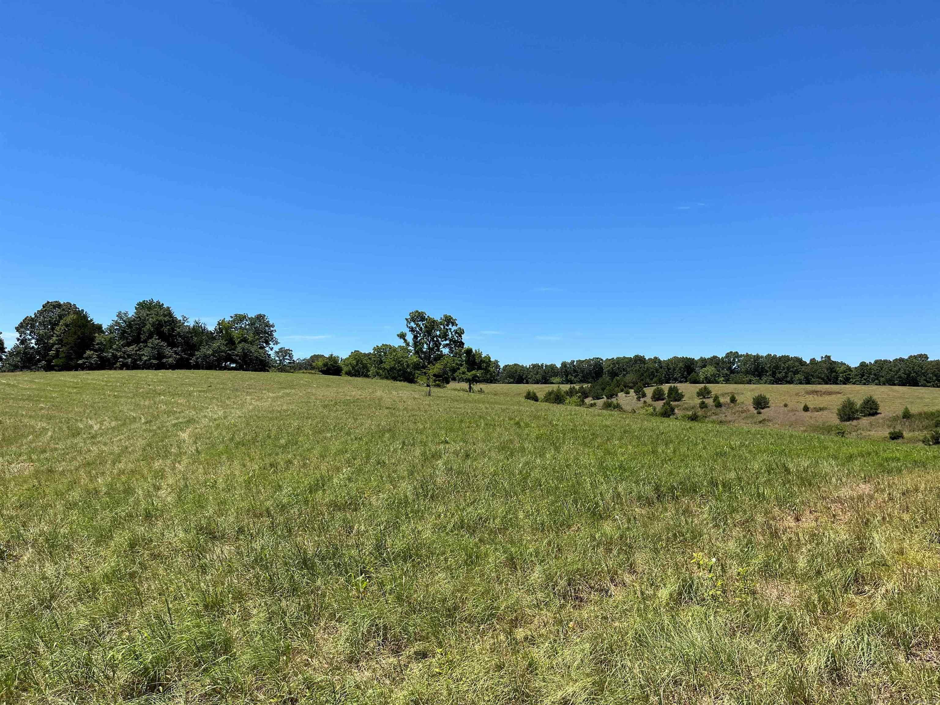 00 Gaylor  Mountain View, AR