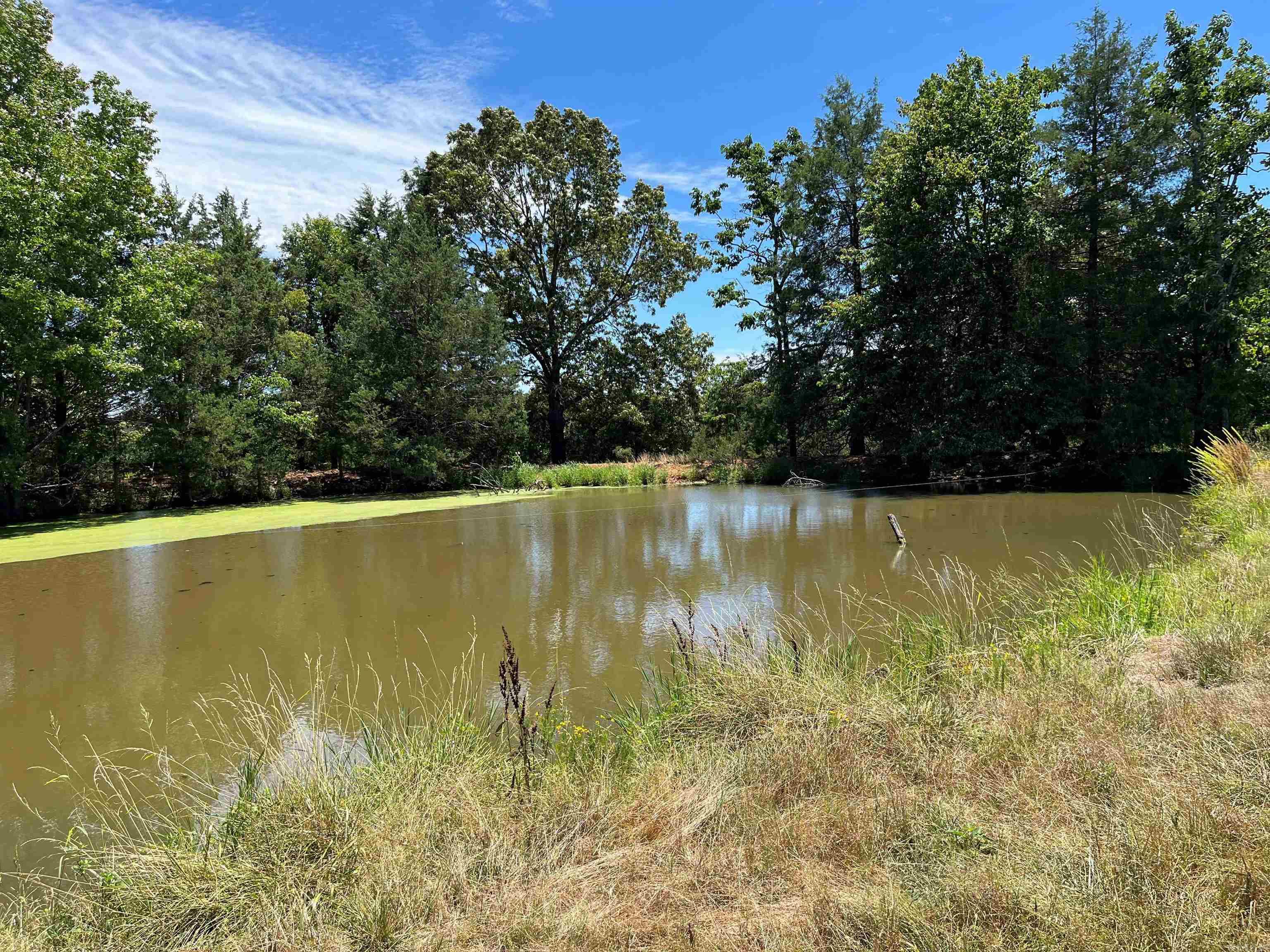 00 Gaylor  Mountain View, AR