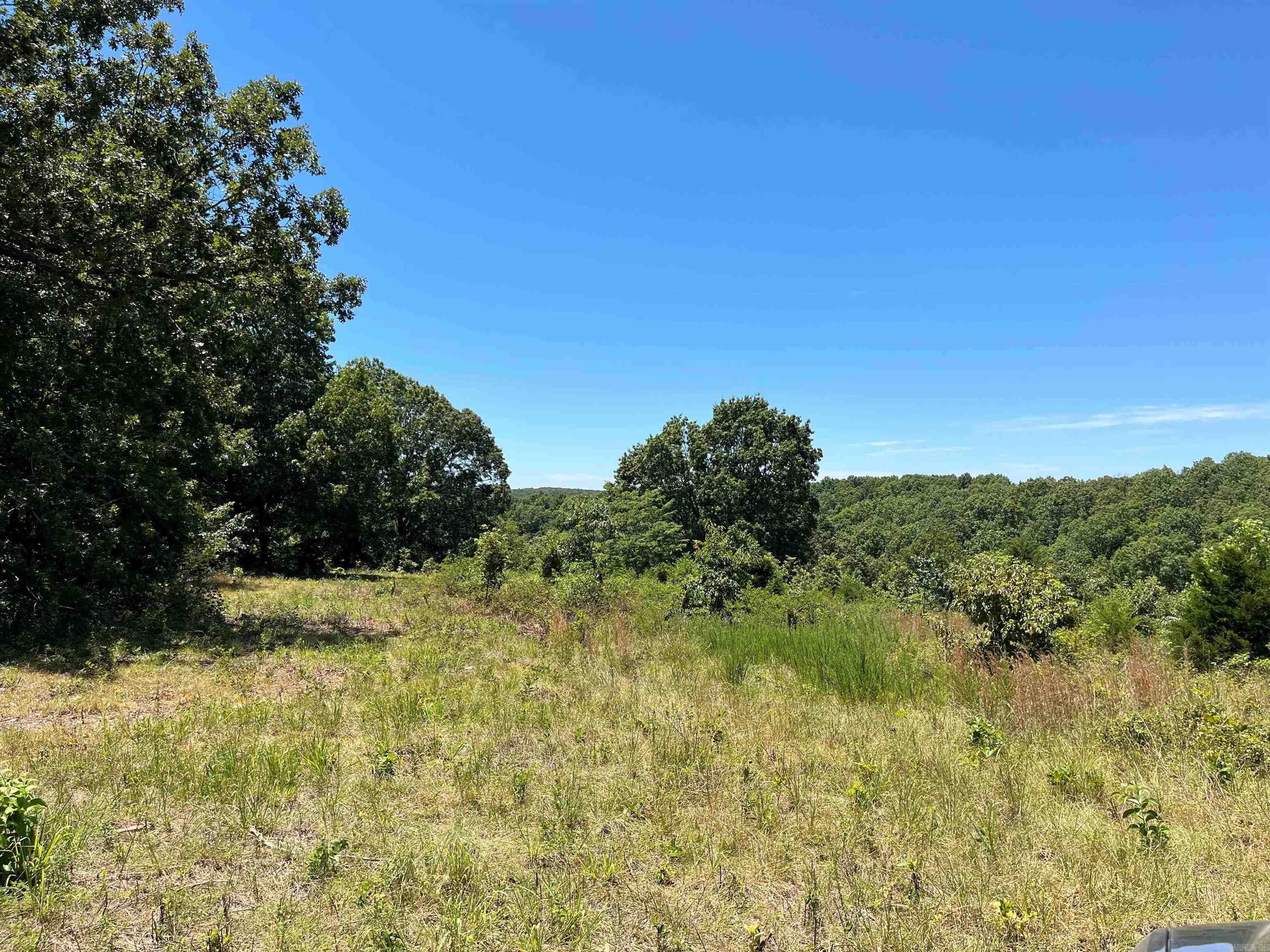 00 Gaylor  Mountain View, AR