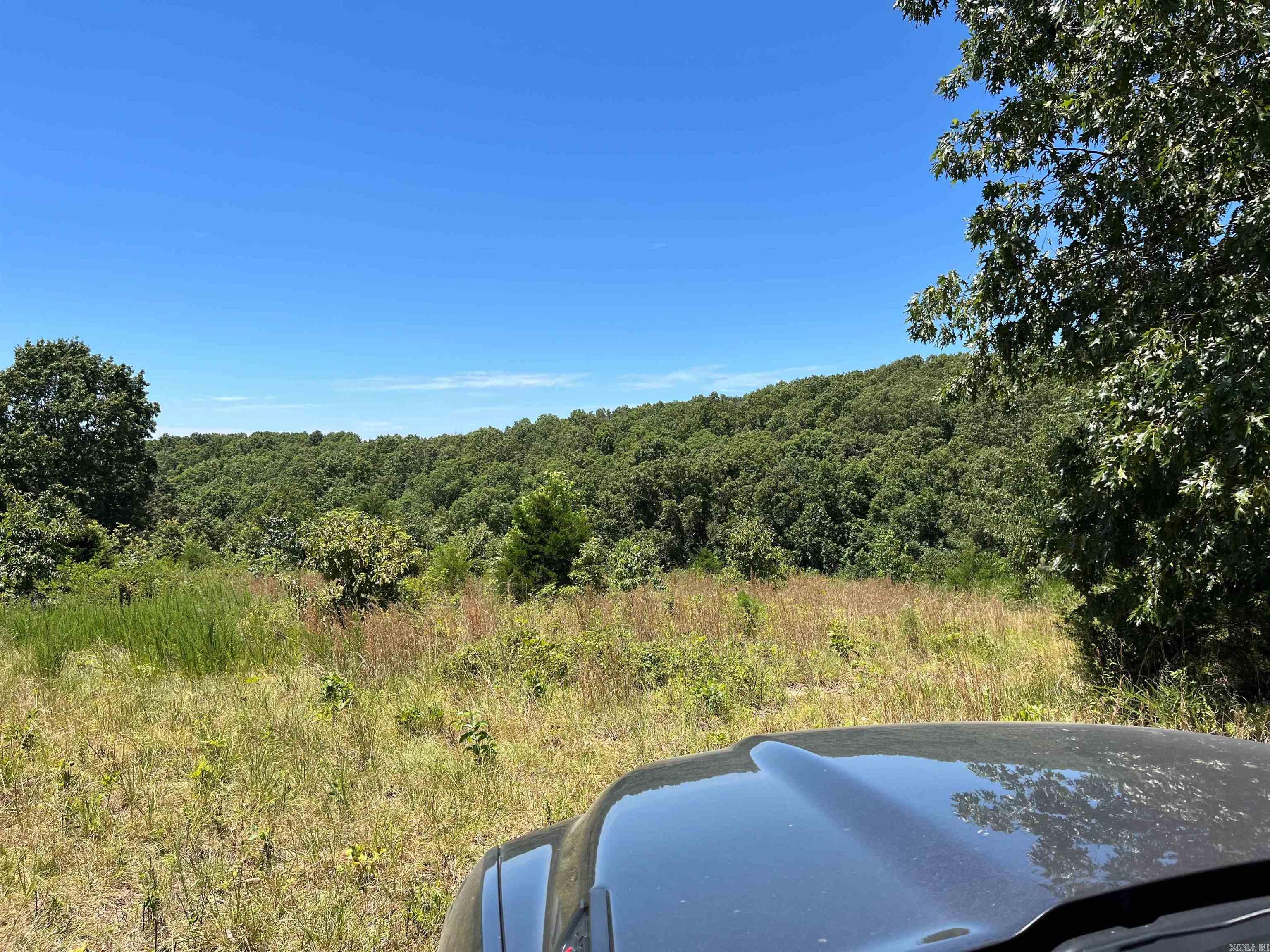 00 Gaylor  Mountain View, AR