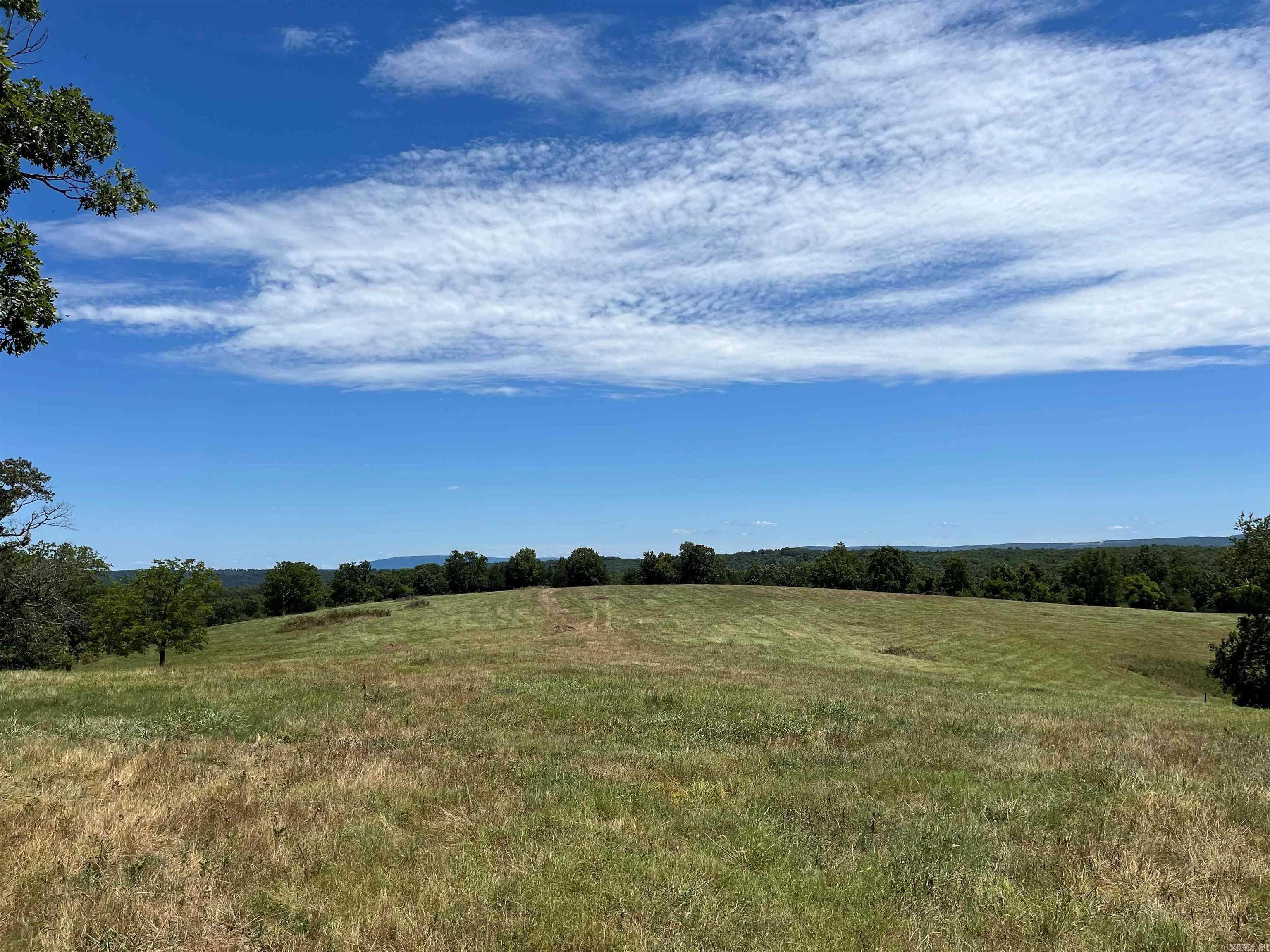 00 Gaylor  Mountain View, AR