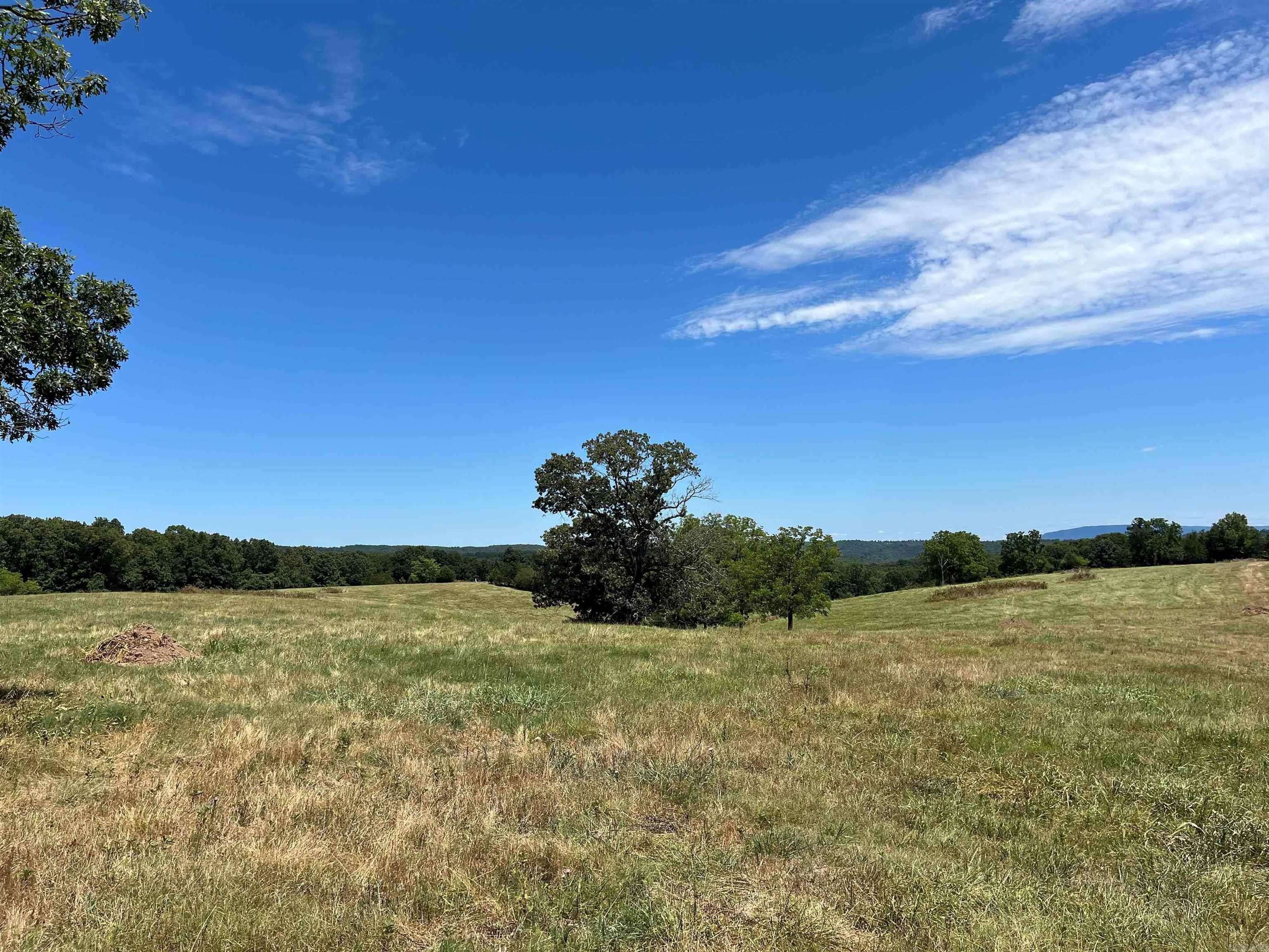 00 Gaylor  Mountain View, AR