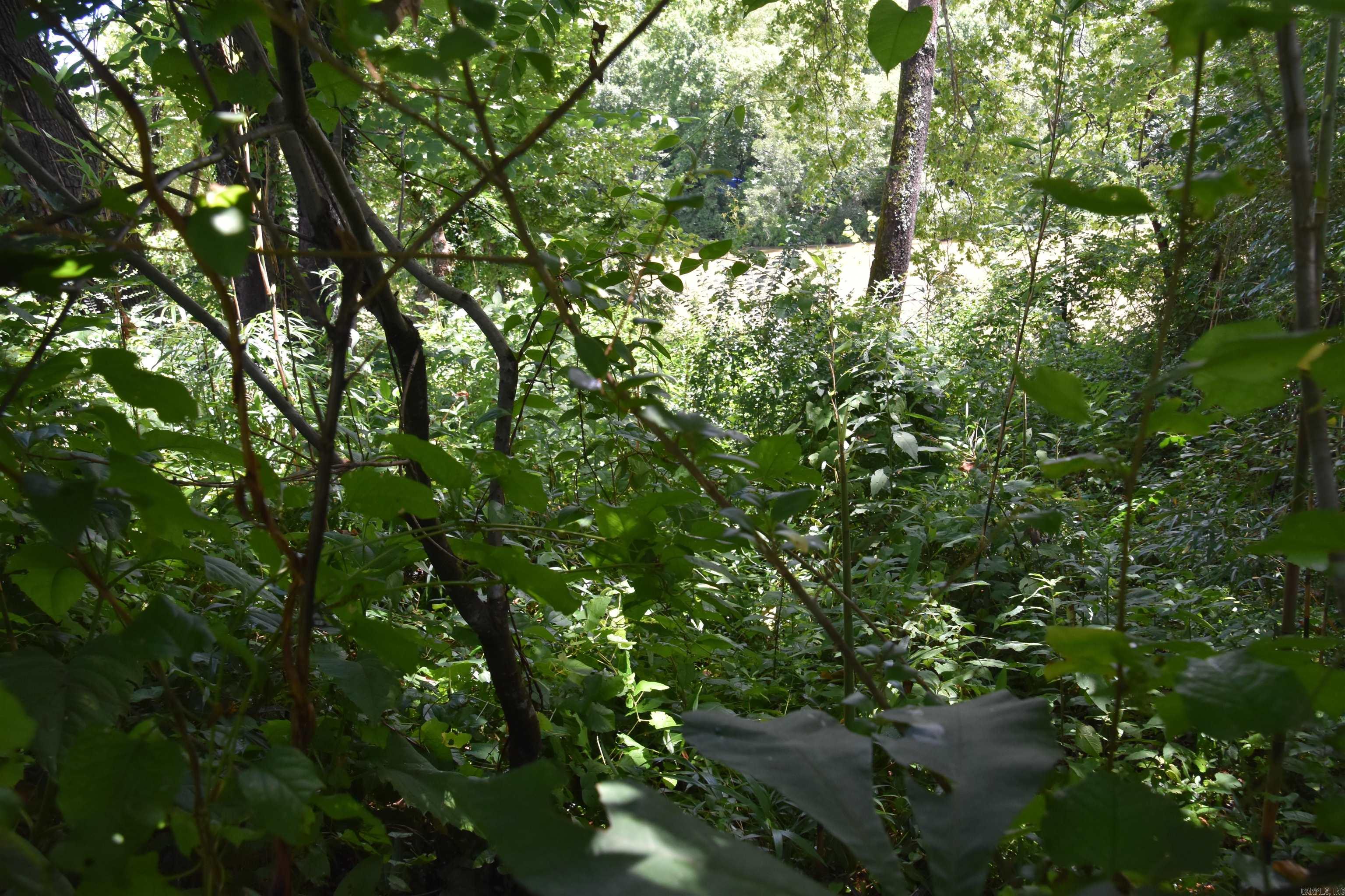 Lot 8 River Crest  Heber Springs, AR