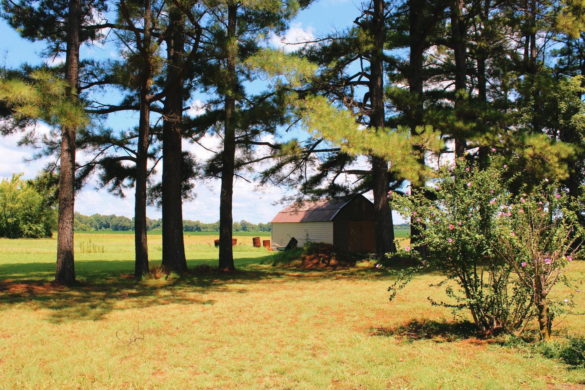 505 Highway 49  Rector, AR