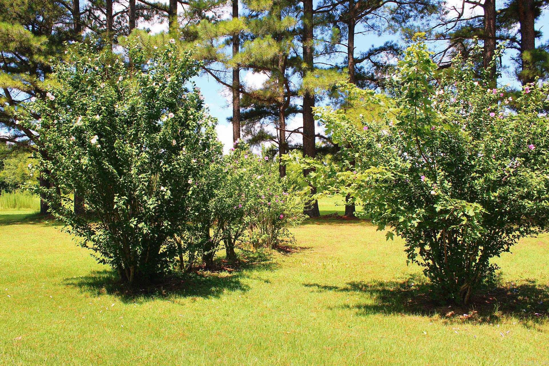 505 Highway 49  Rector, AR