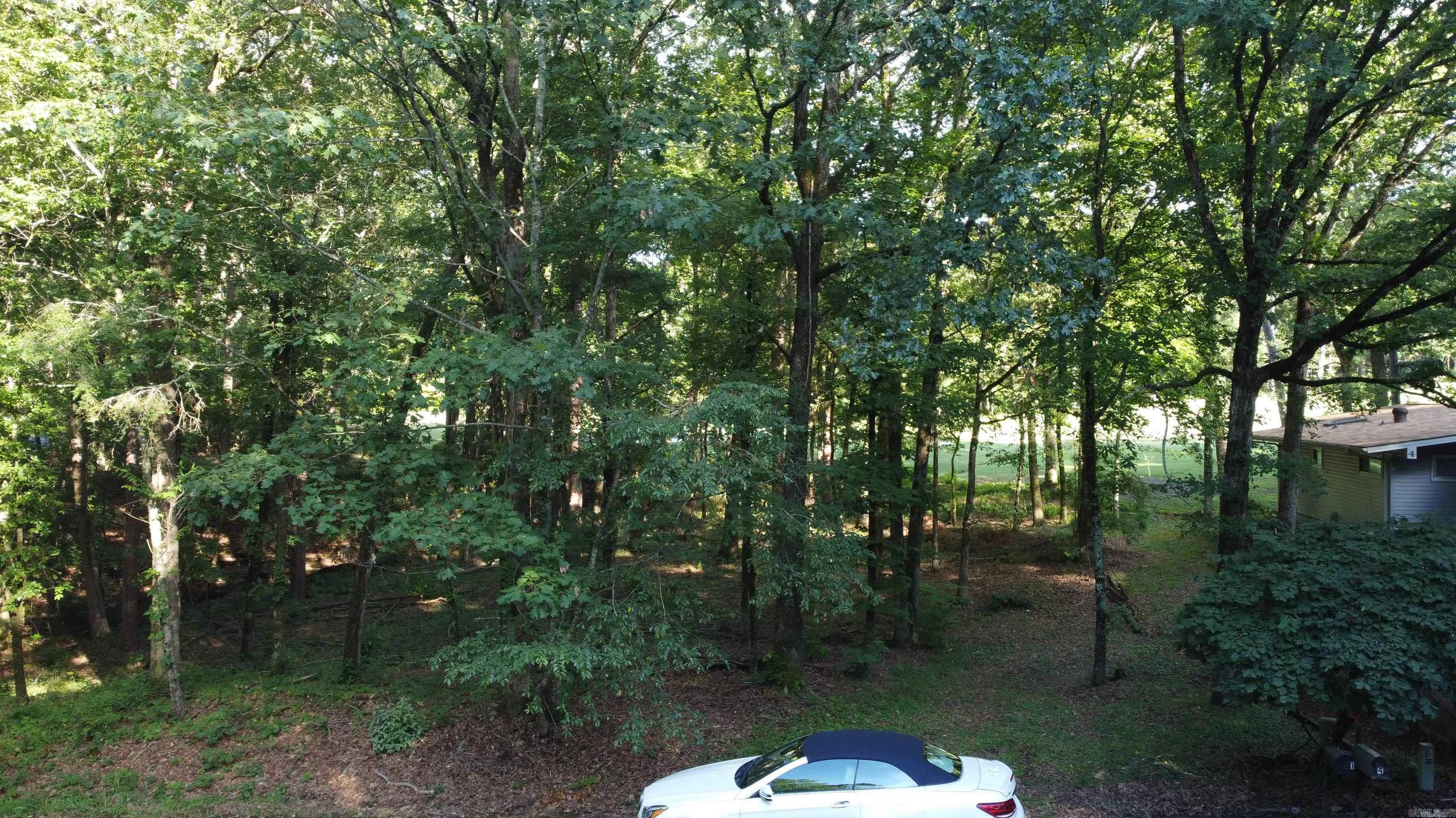 2 Palacio  Hot Springs Village, AR