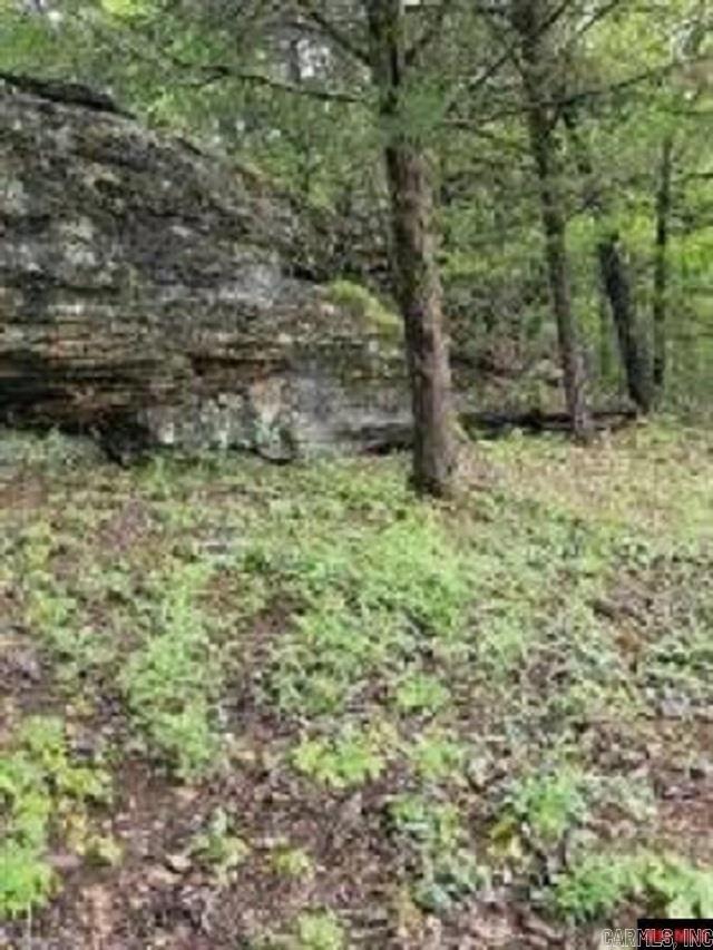 1826 MC 5013 Everton, AR 72633