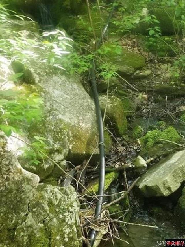 1826 MC 5013 Everton, AR 72633