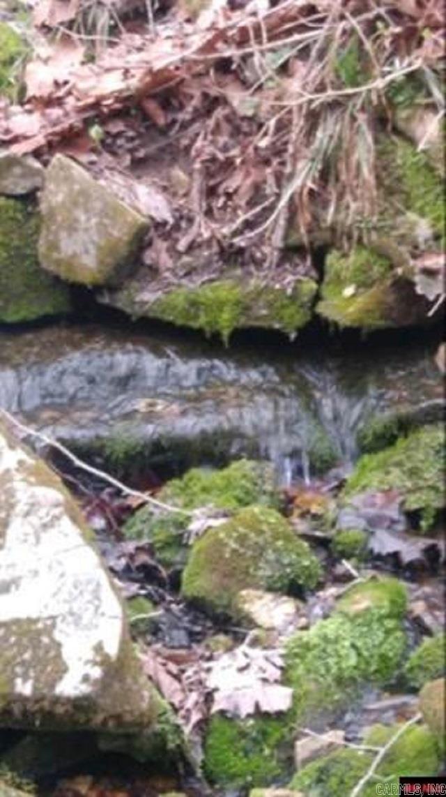 1826 MC 5013 Everton, AR 72633