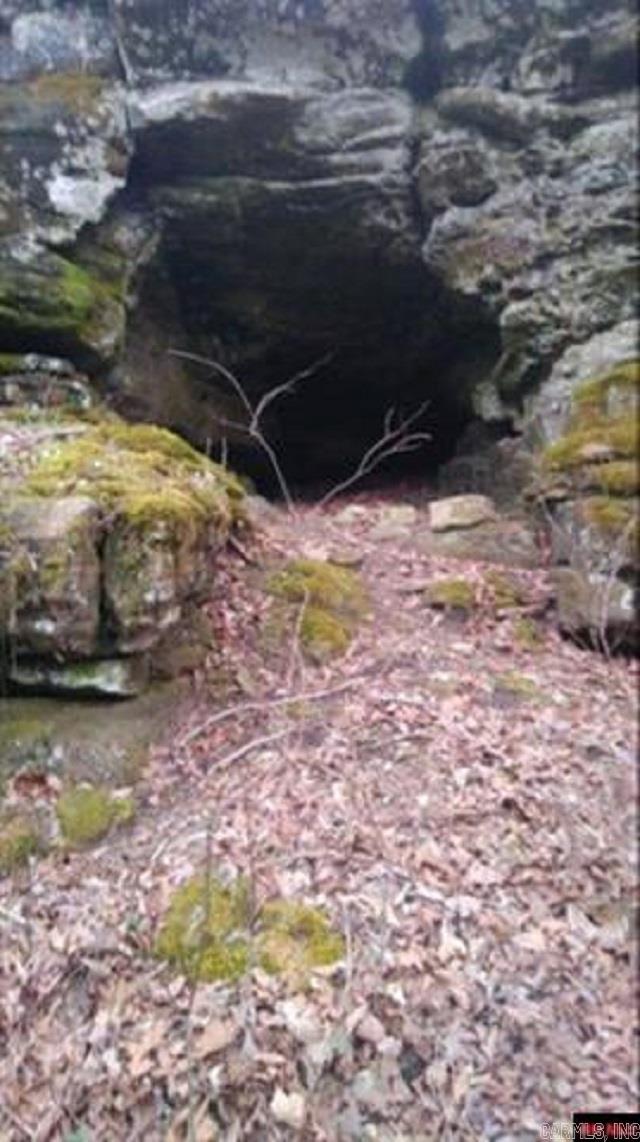 1826 MC 5013 Everton, AR 72633