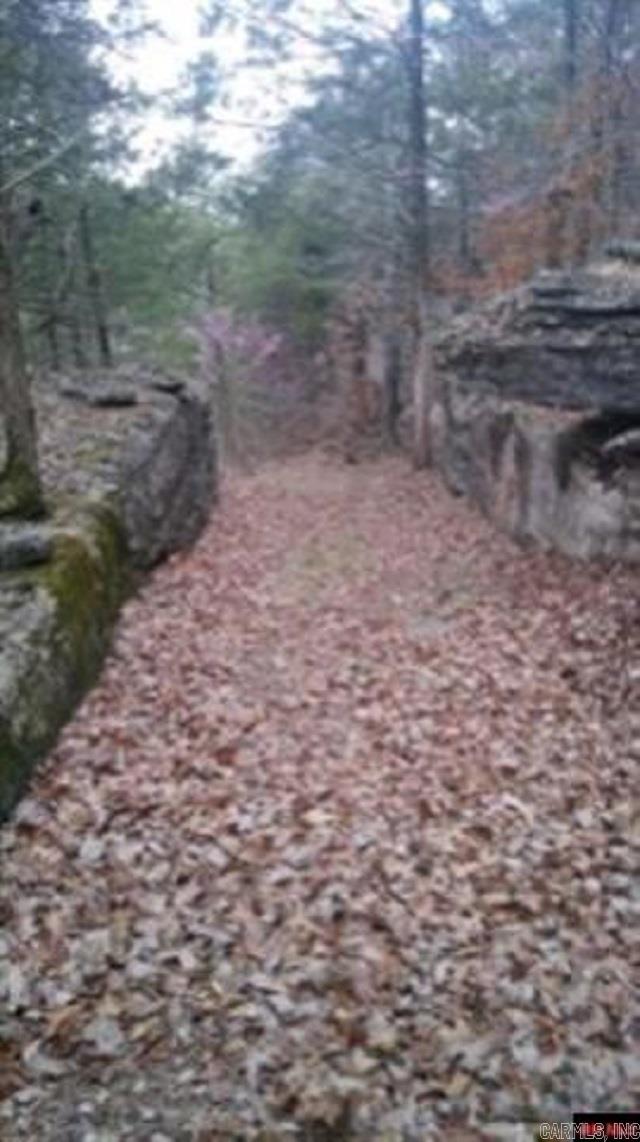 1826 MC 5013 Everton, AR 72633