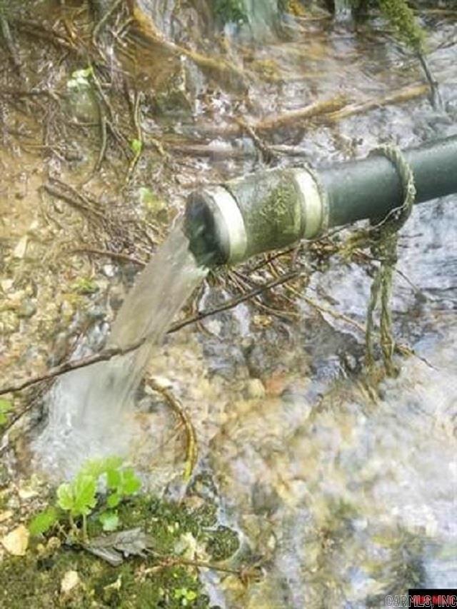 1826 MC 5013 Everton, AR 72633