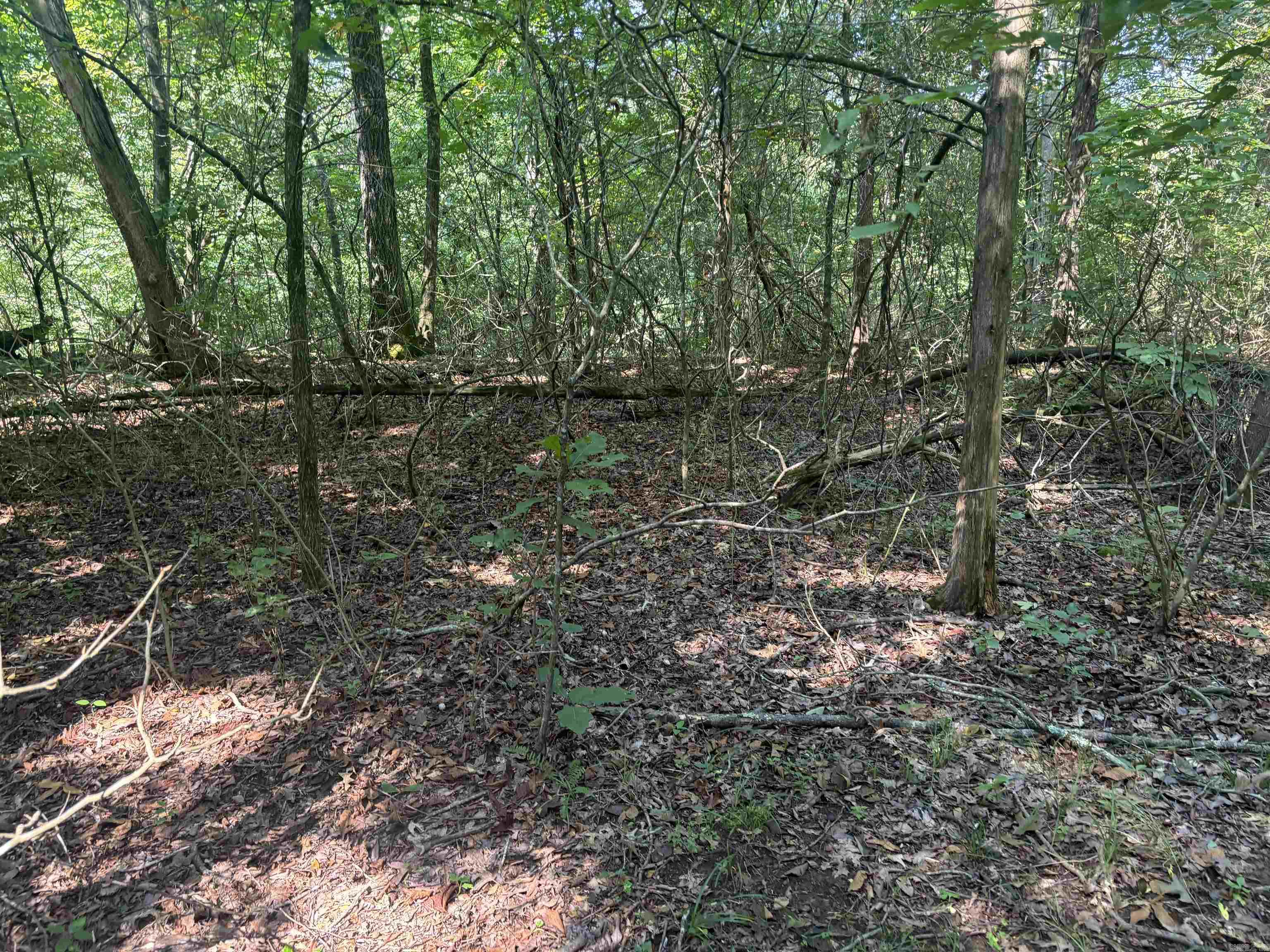 000 Cypress Shoals  Pangburn, AR