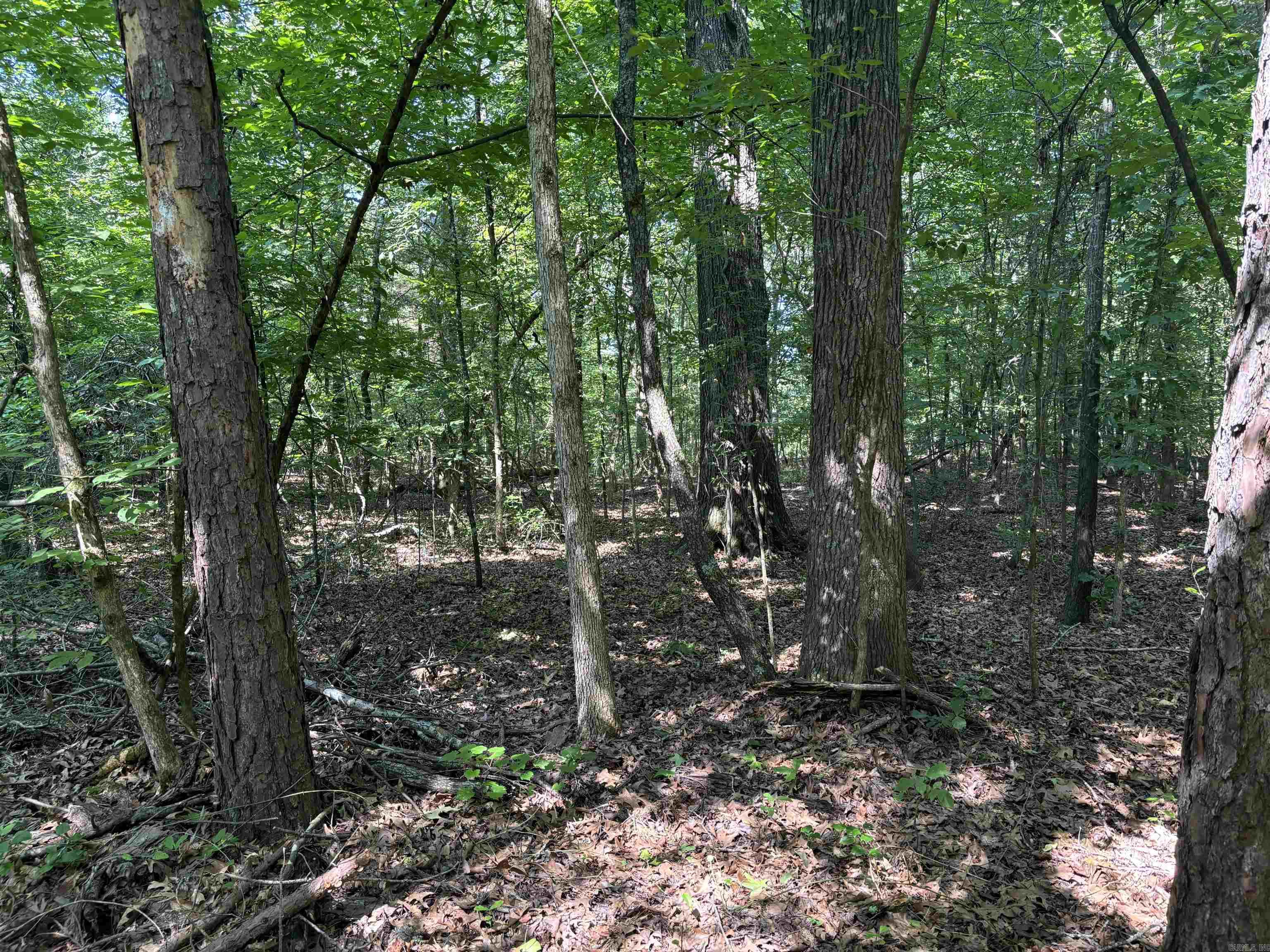 000 Cypress Shoals  Pangburn, AR