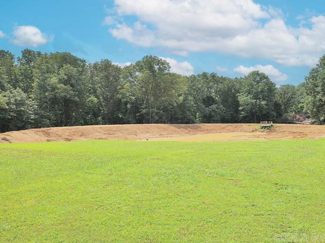 1879 Squirrel Rd, Imboden Imboden, AR 72434