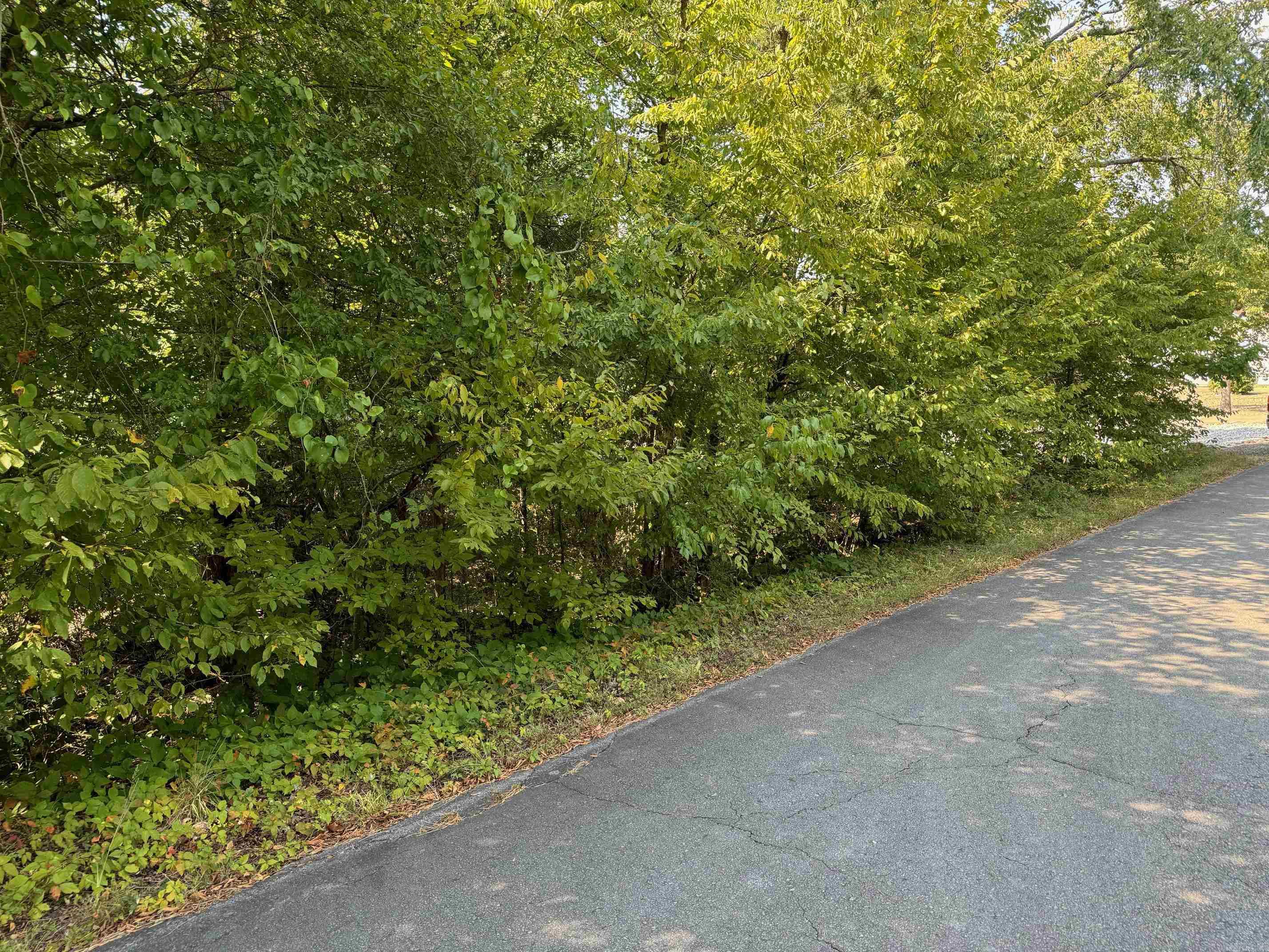 16 FAISAN WAY  Hot Springs Village, AR