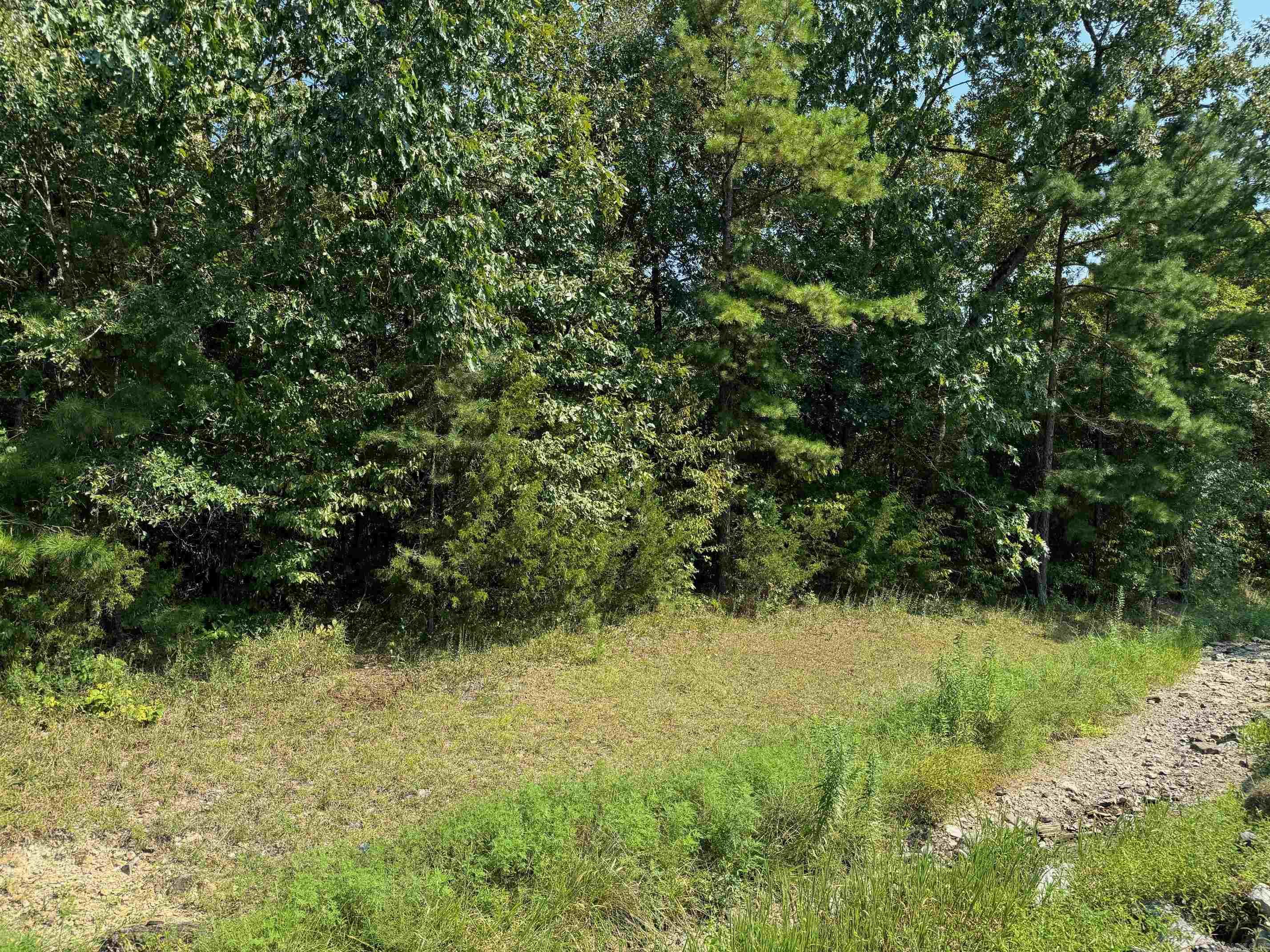 16 FAISAN WAY  Hot Springs Village, AR