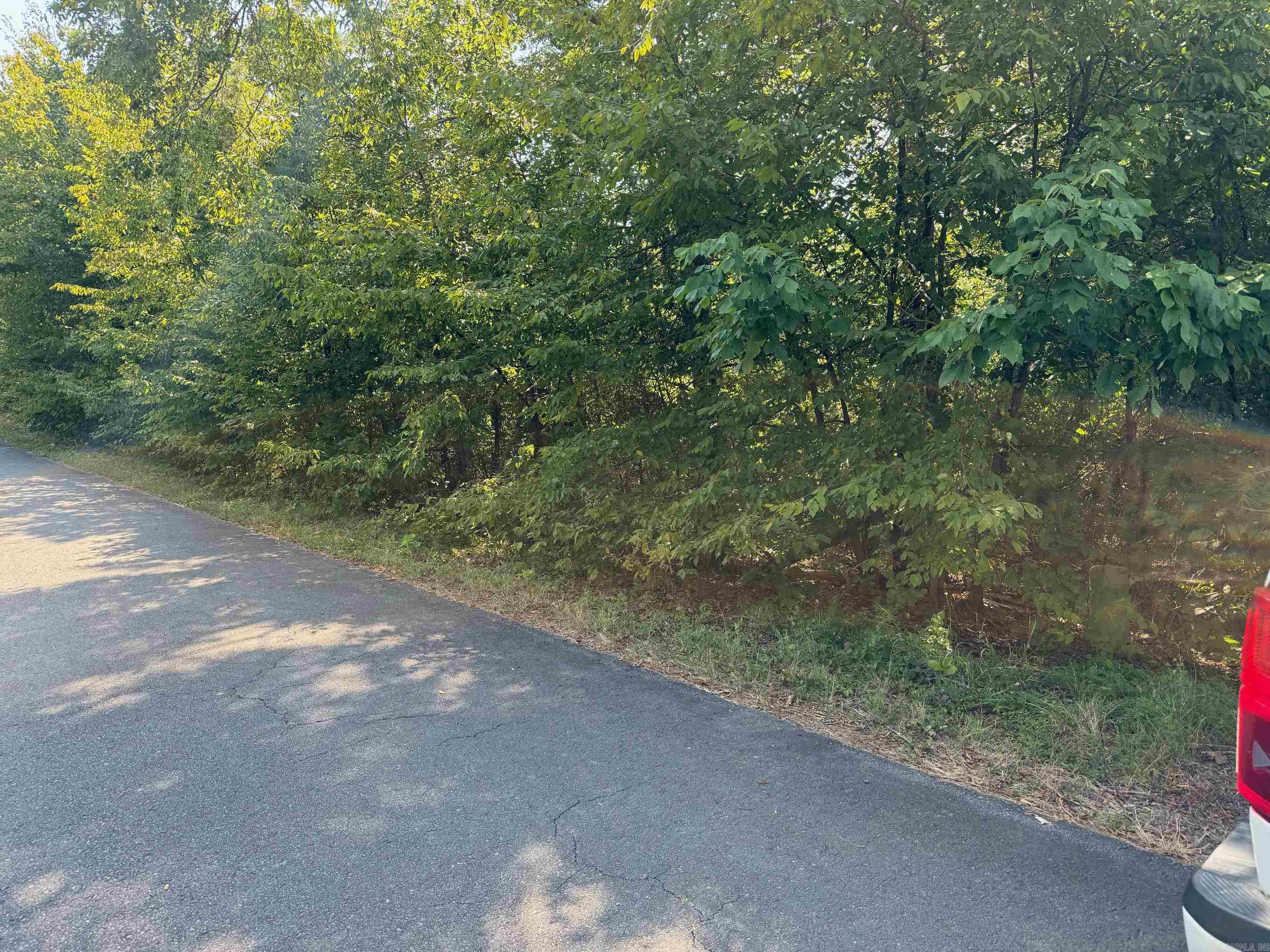 16 FAISAN WAY  Hot Springs Village, AR