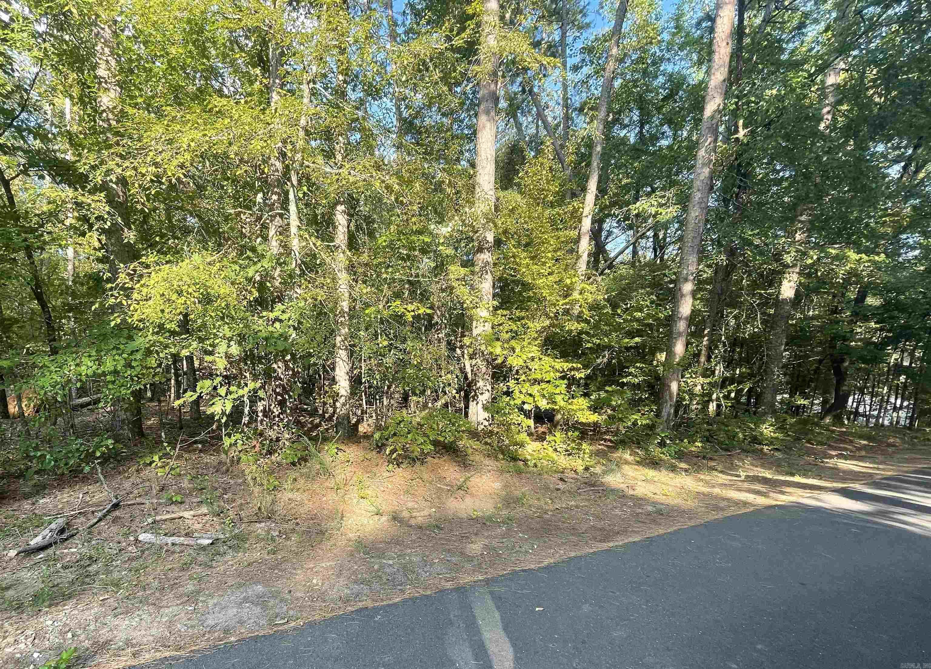 41 Mano  Hot Springs Village, AR