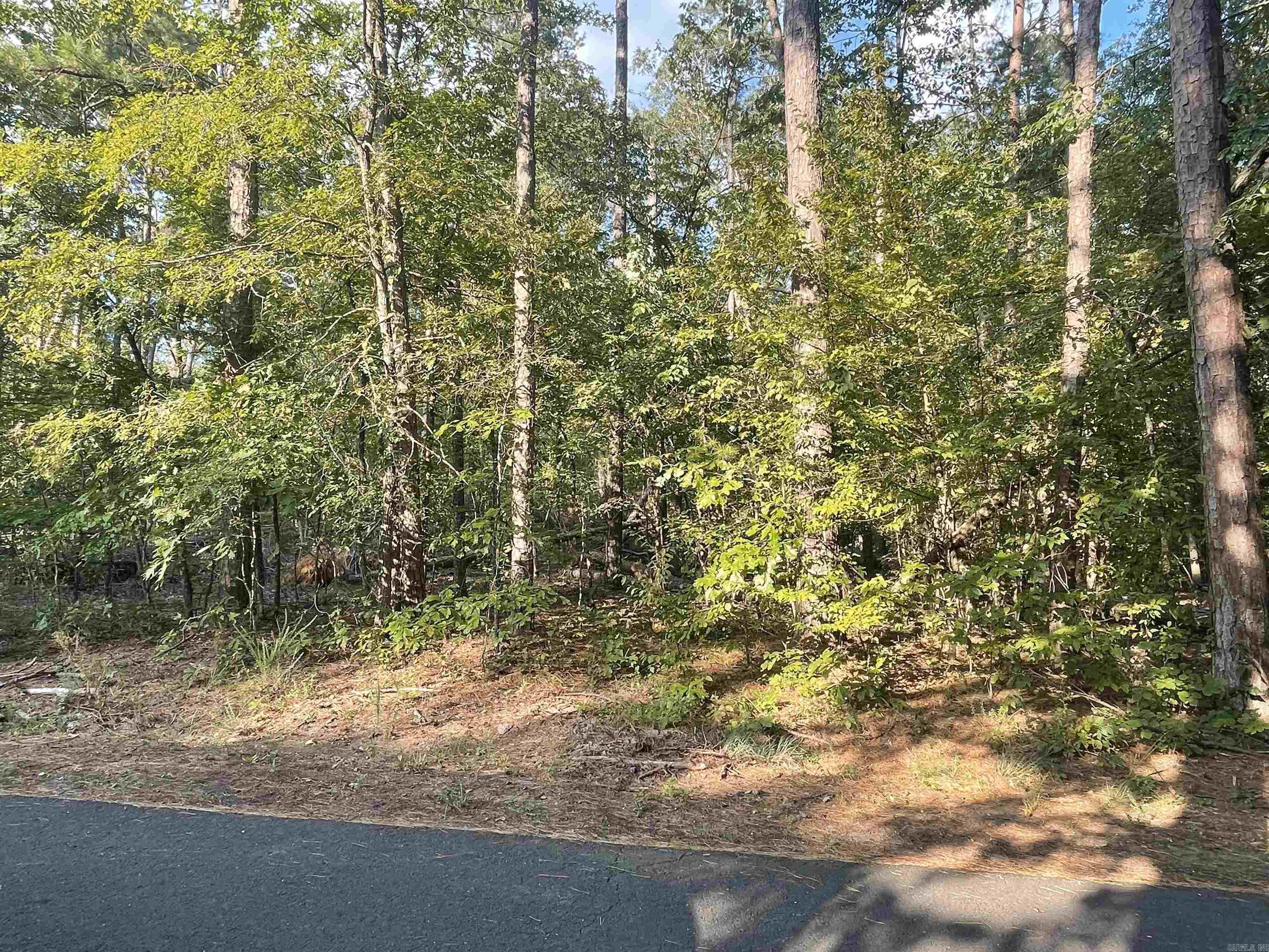 41 Mano  Hot Springs Village, AR