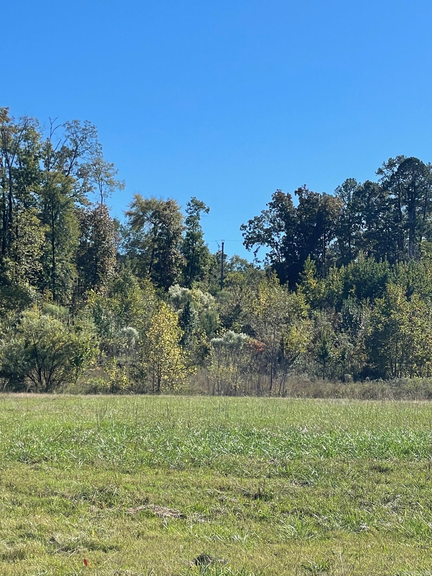 Lot 3318 Ohio Dr  Hot Springs, AR
