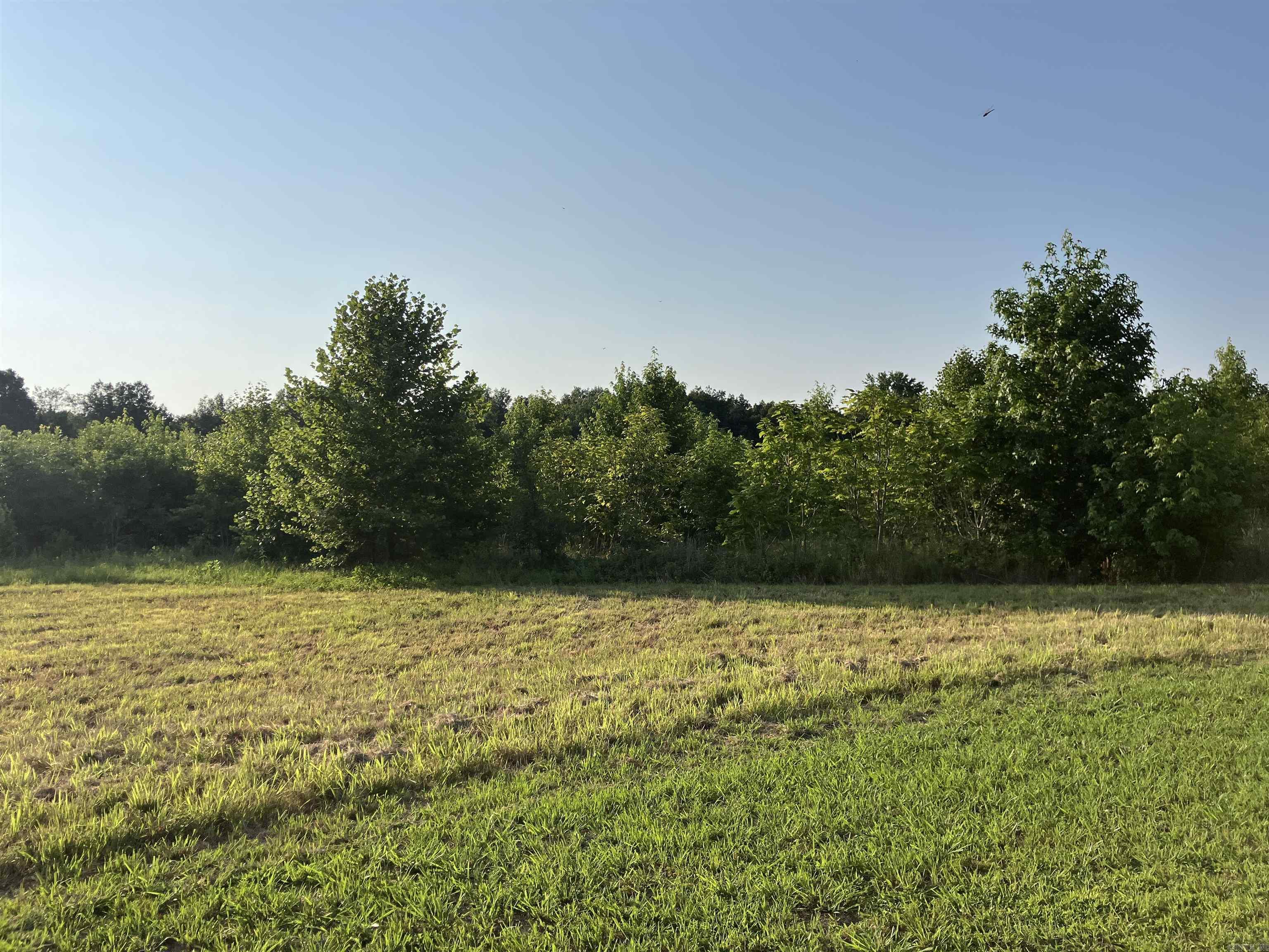 2406 Clay 247  Corning, AR