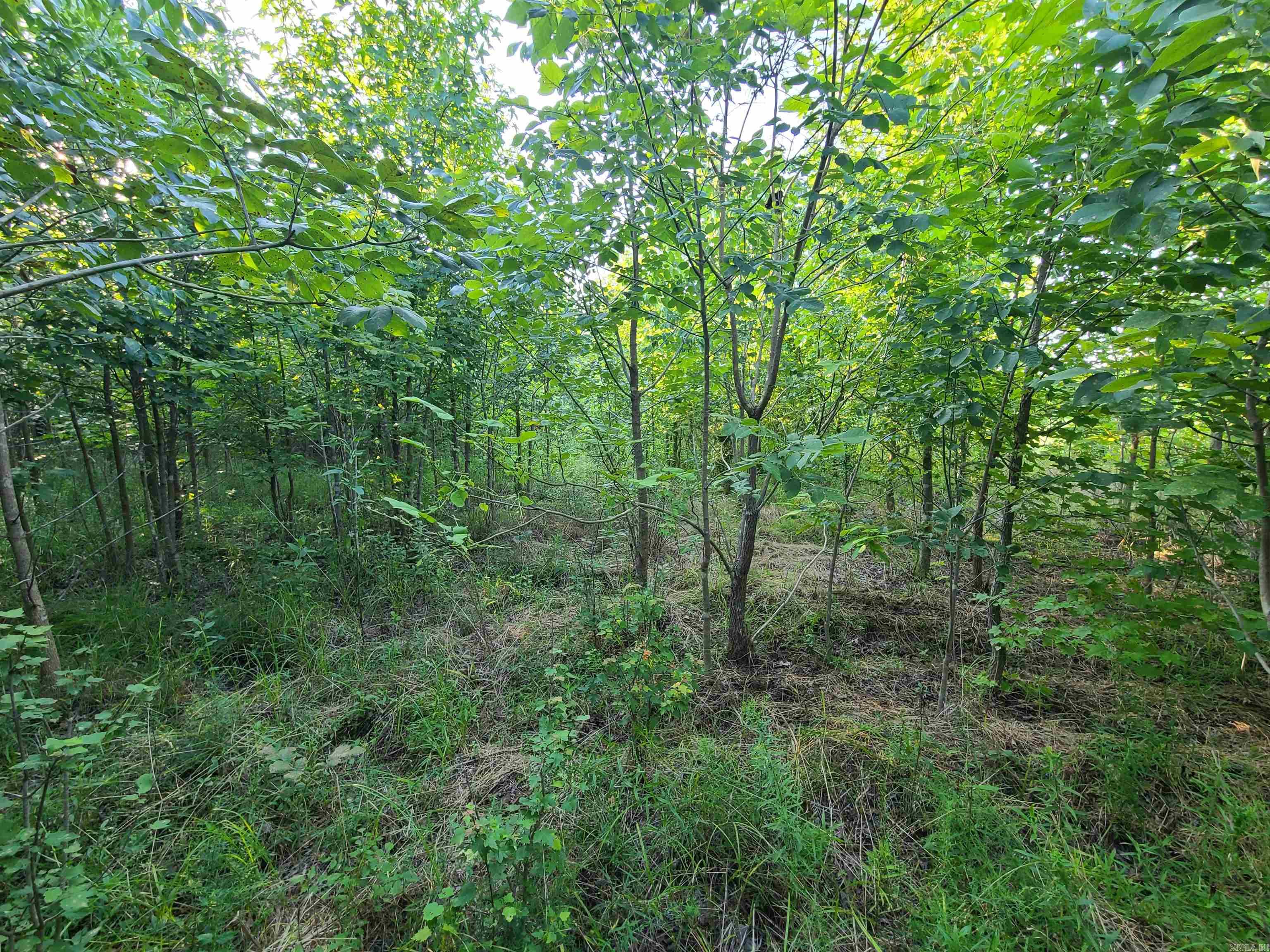 2406 Clay 247  Corning, AR