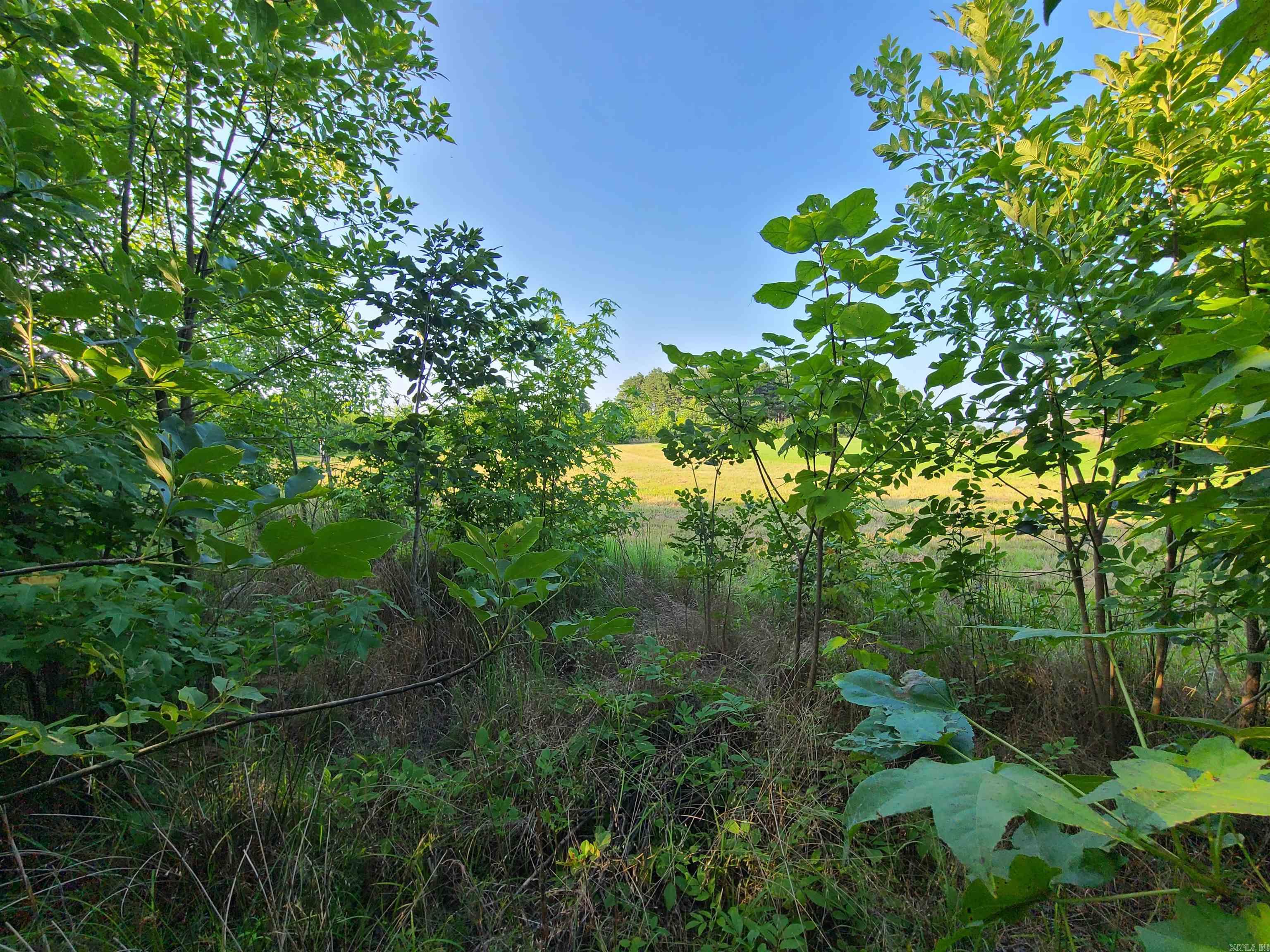 2406 Clay 247  Corning, AR