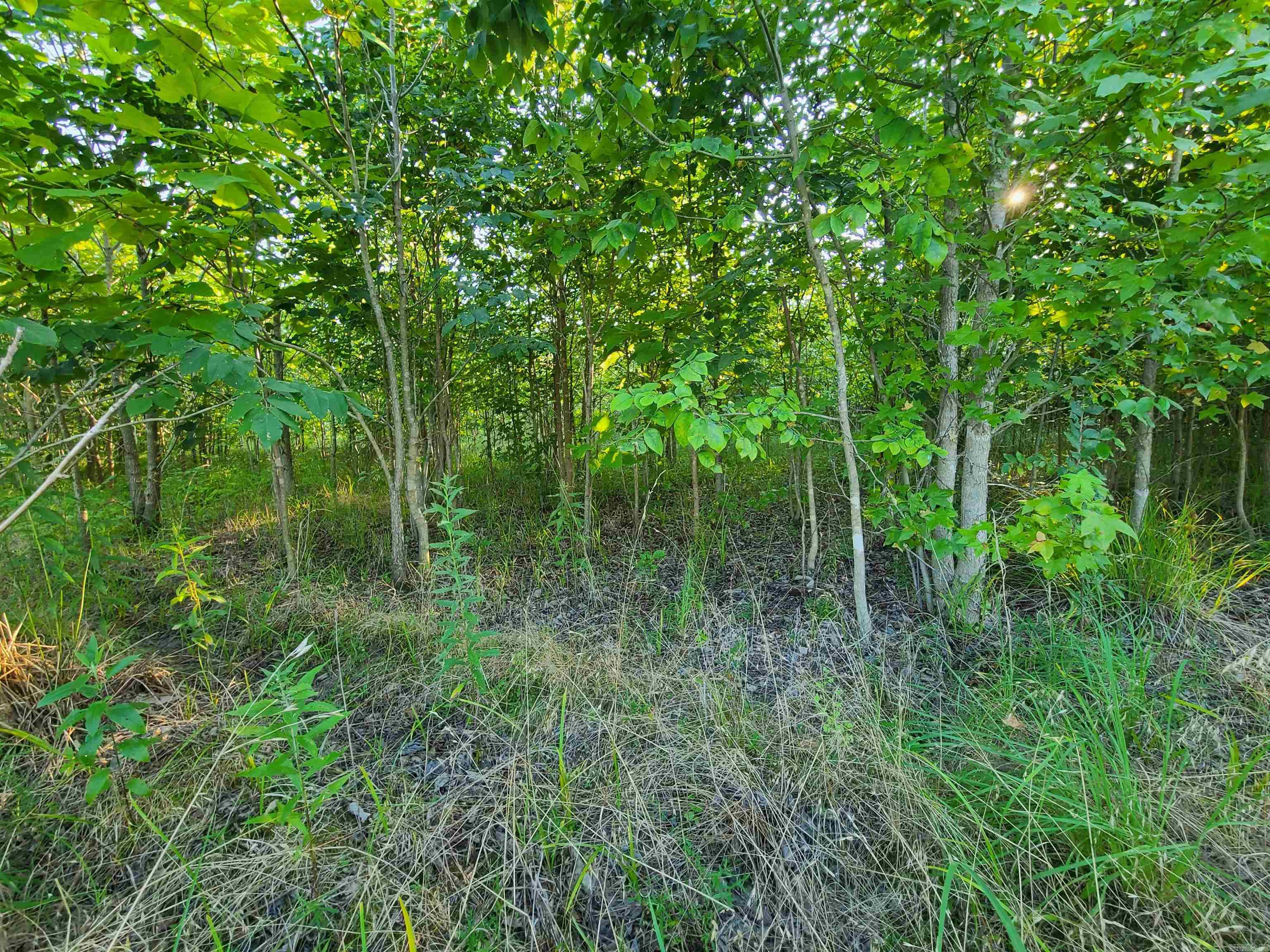 2406 Clay 247  Corning, AR