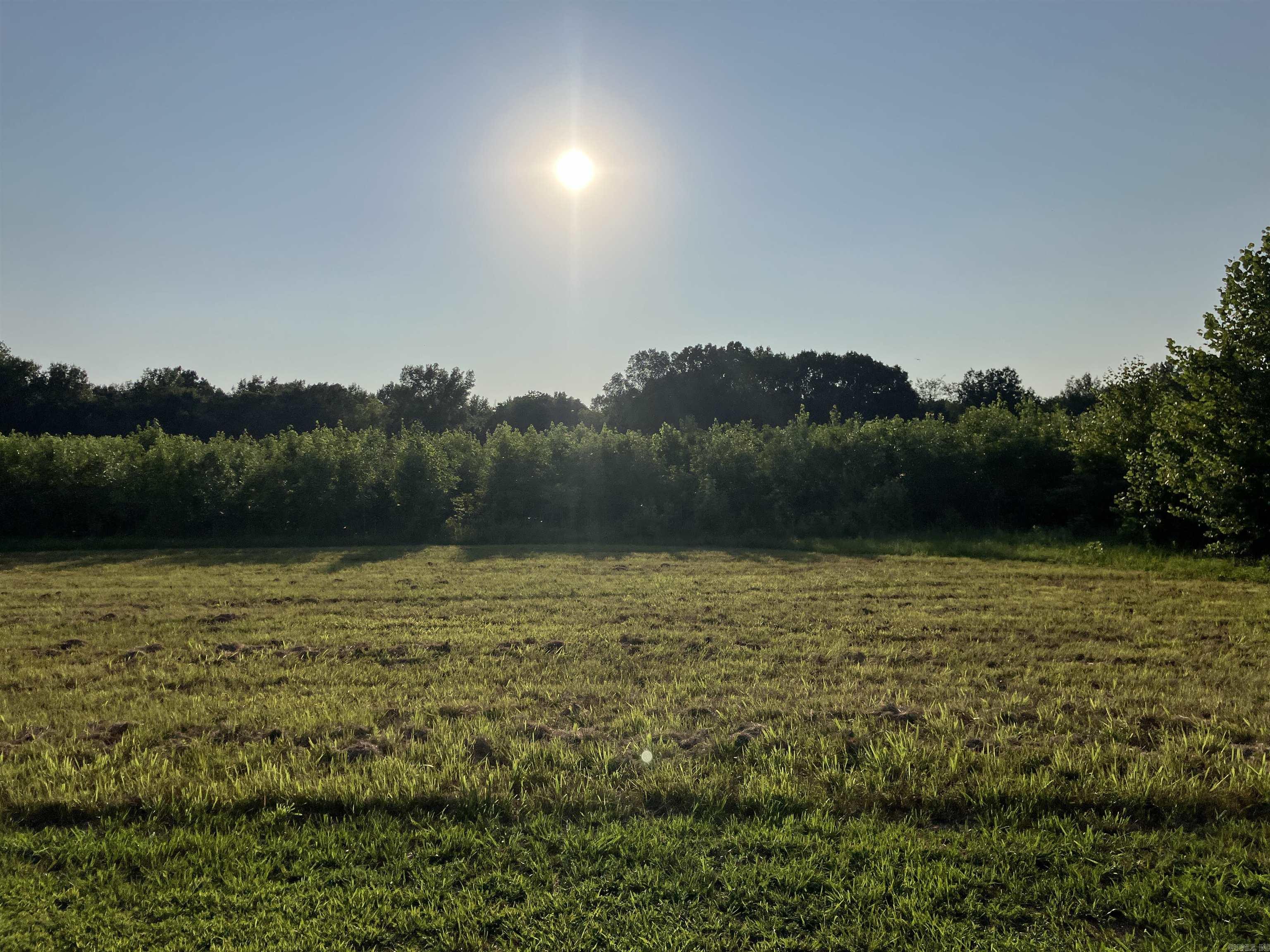 2406 Clay 247  Corning, AR