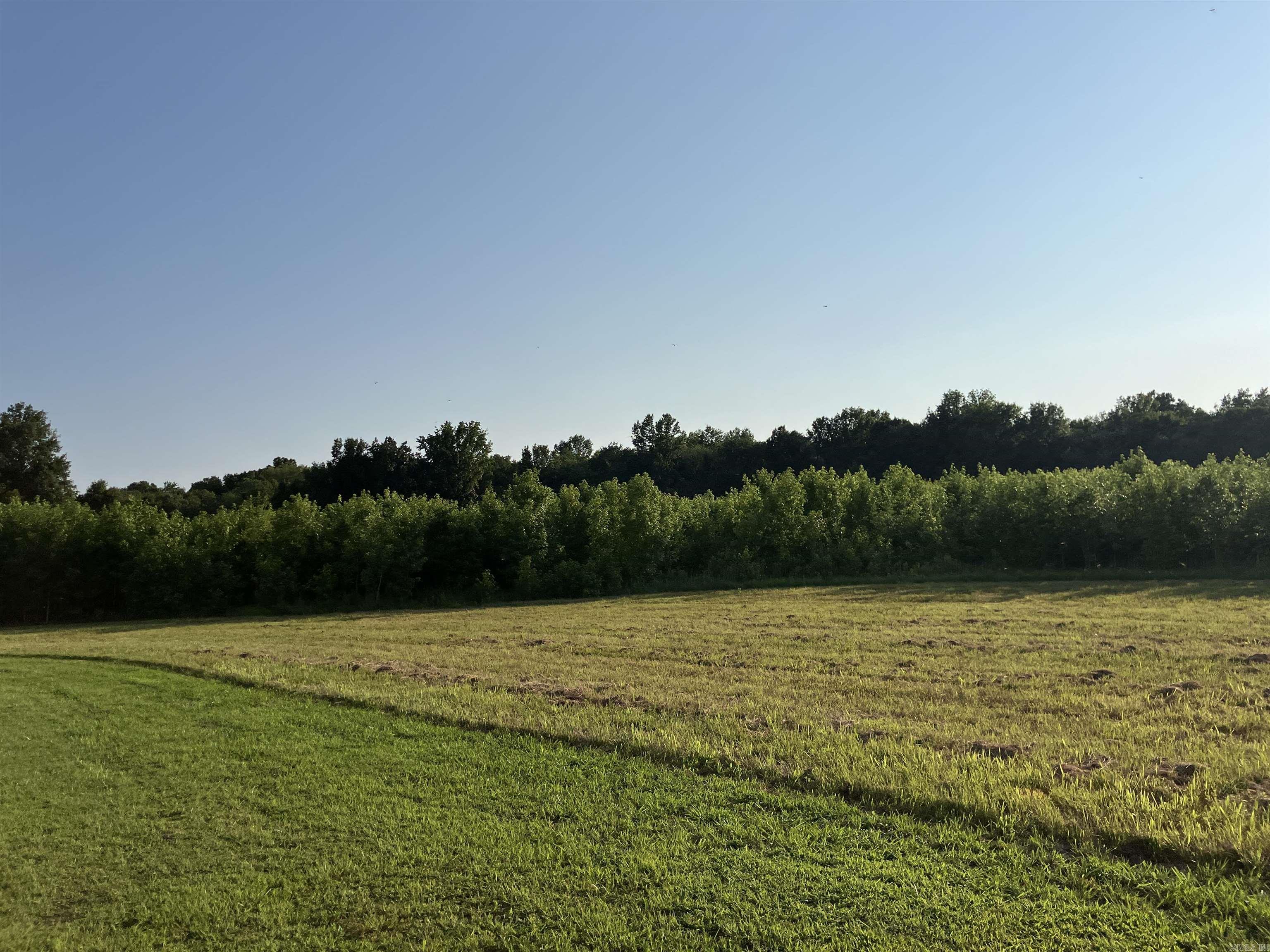 2406 Clay 247  Corning, AR