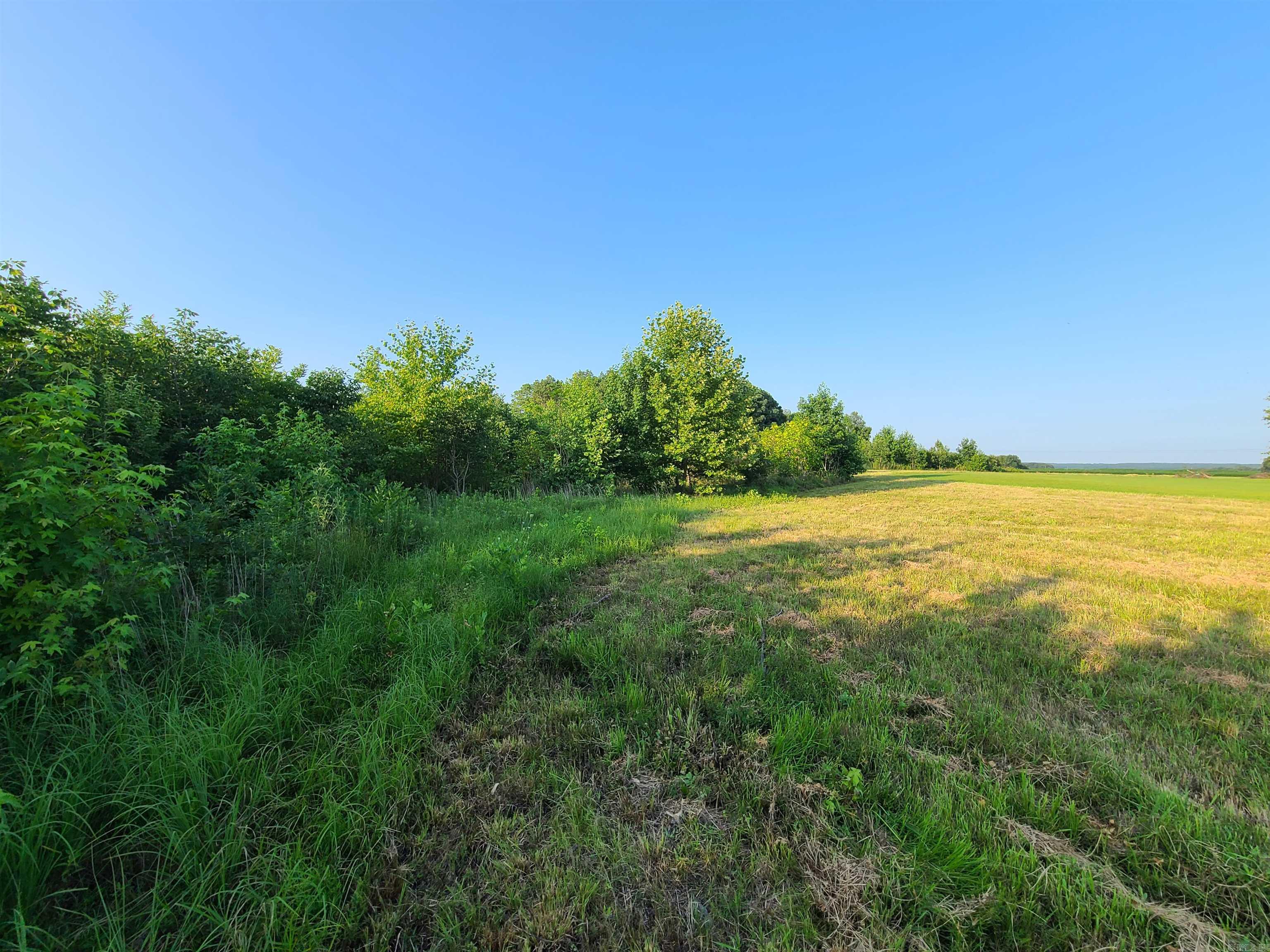 2406 Clay 247  Corning, AR