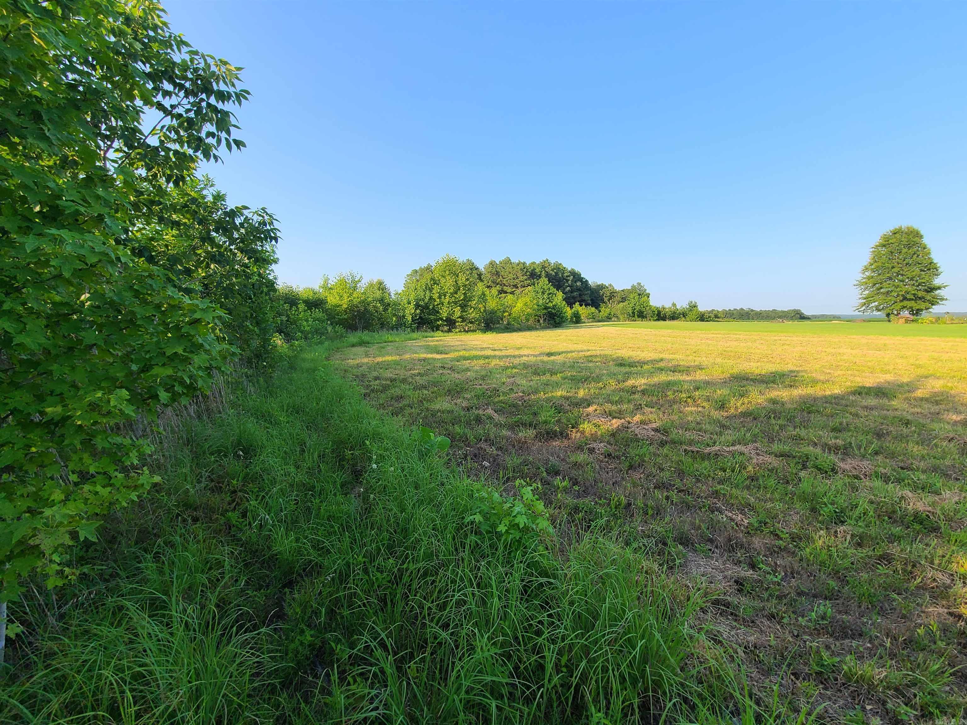 2406 Clay 247  Corning, AR