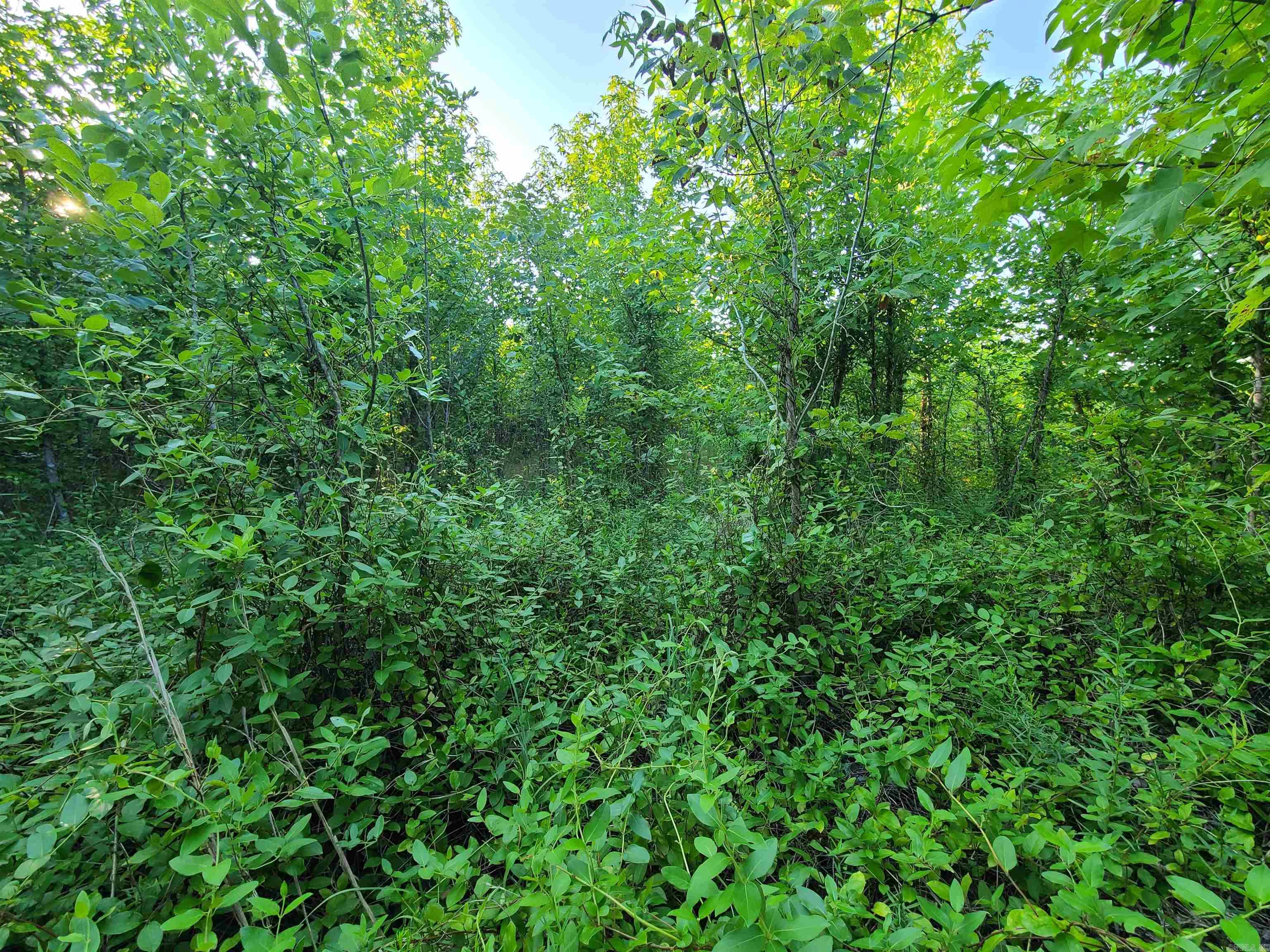 2406 Clay 247  Corning, AR