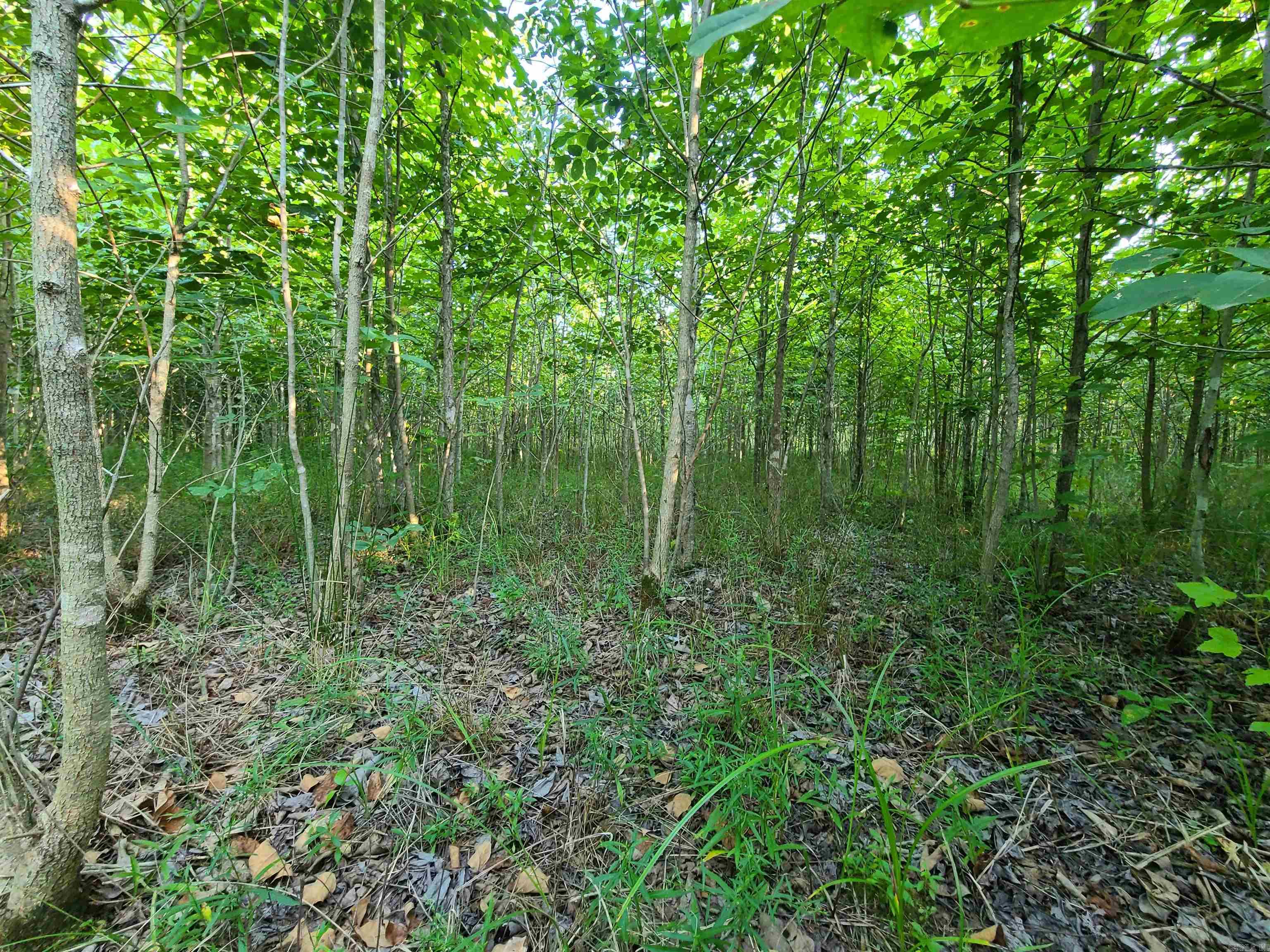 2406 Clay 247  Corning, AR