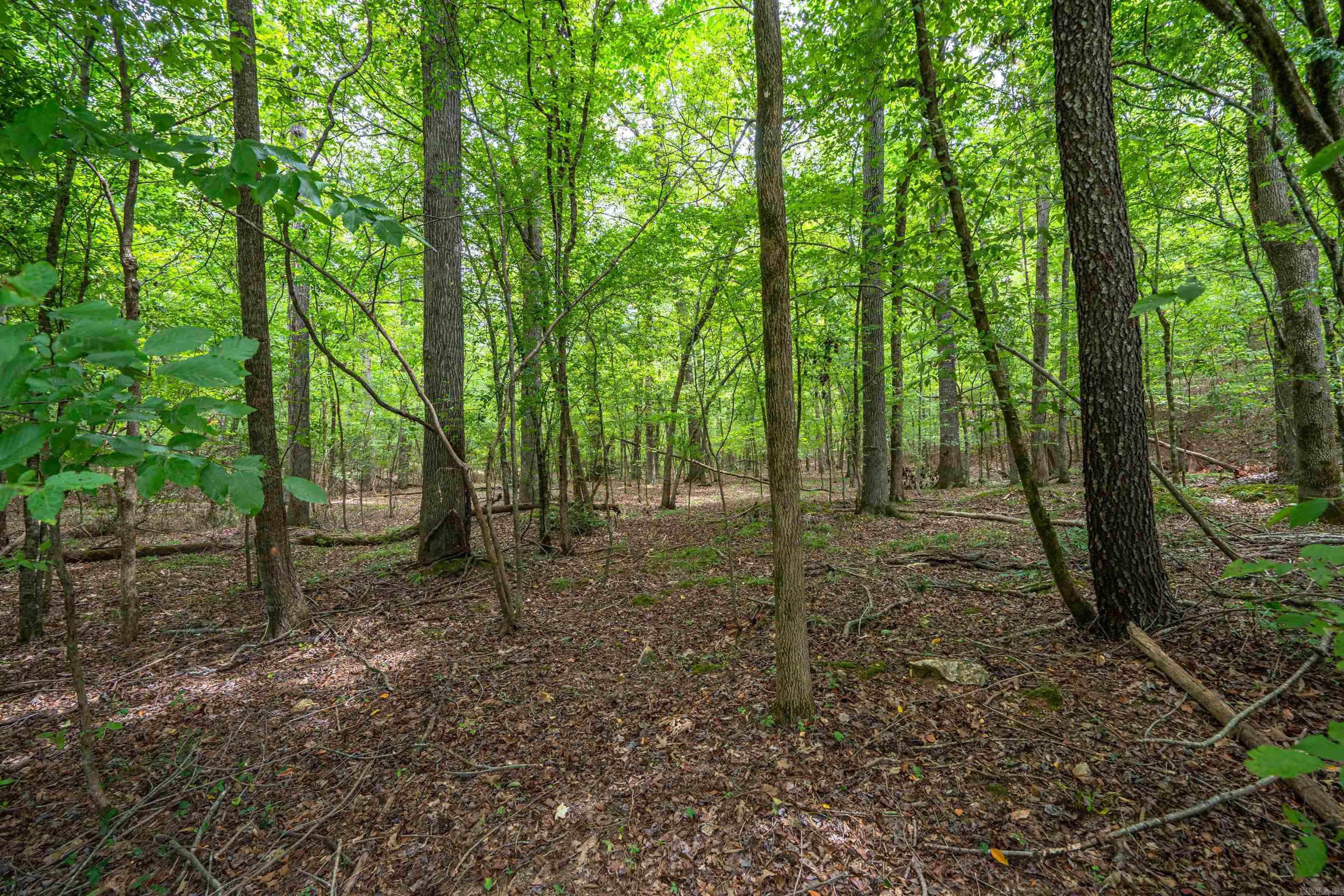 Lot 15 Deer Run  Malvern, AR