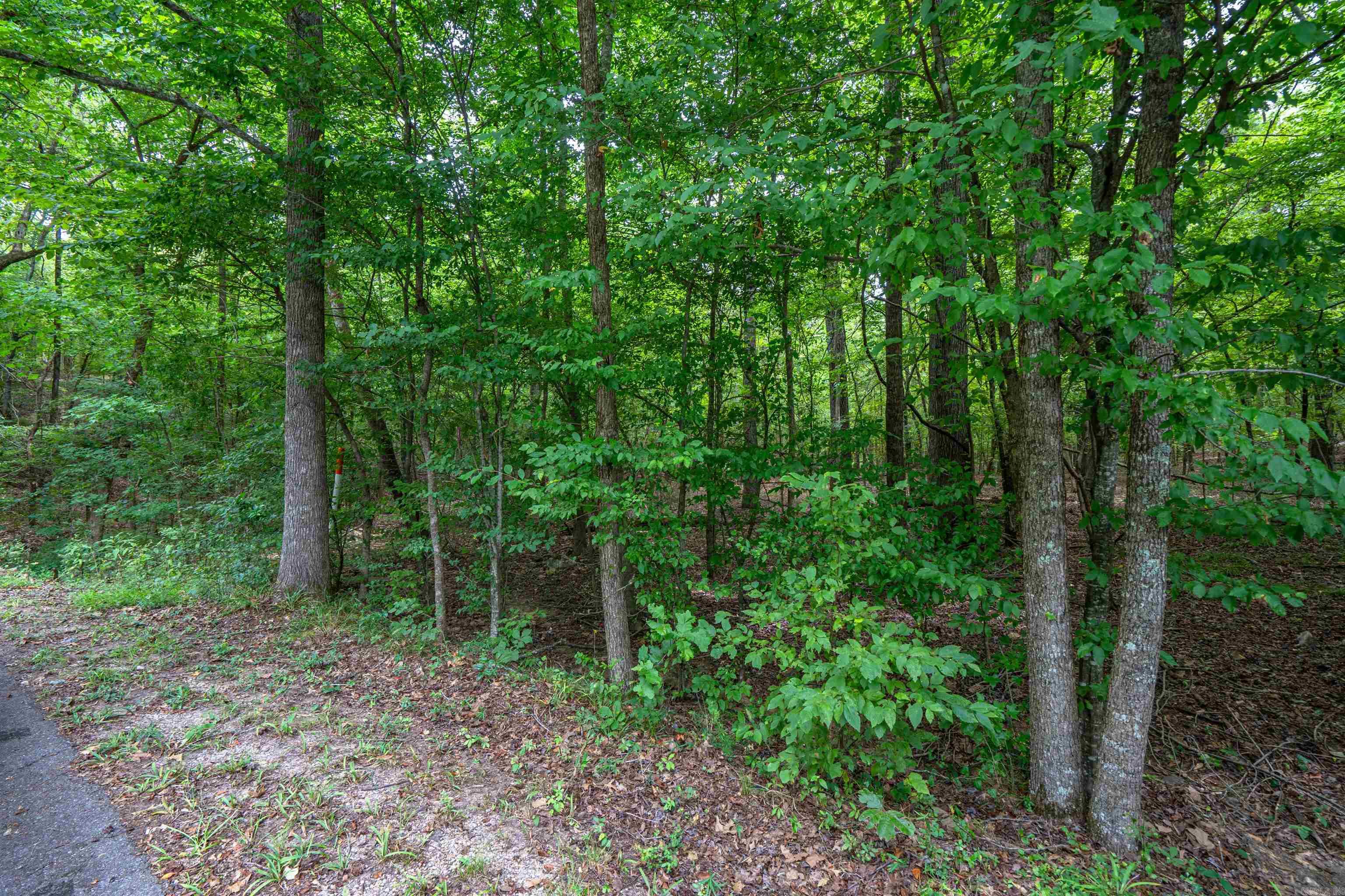 Lot 45 Fox Run  Malvern, AR