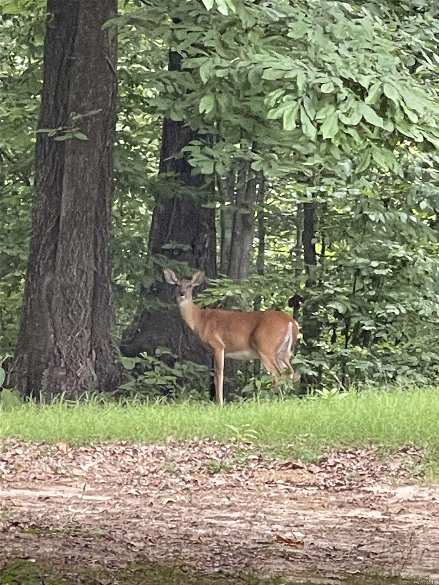  Holiday  Forrest City, AR
