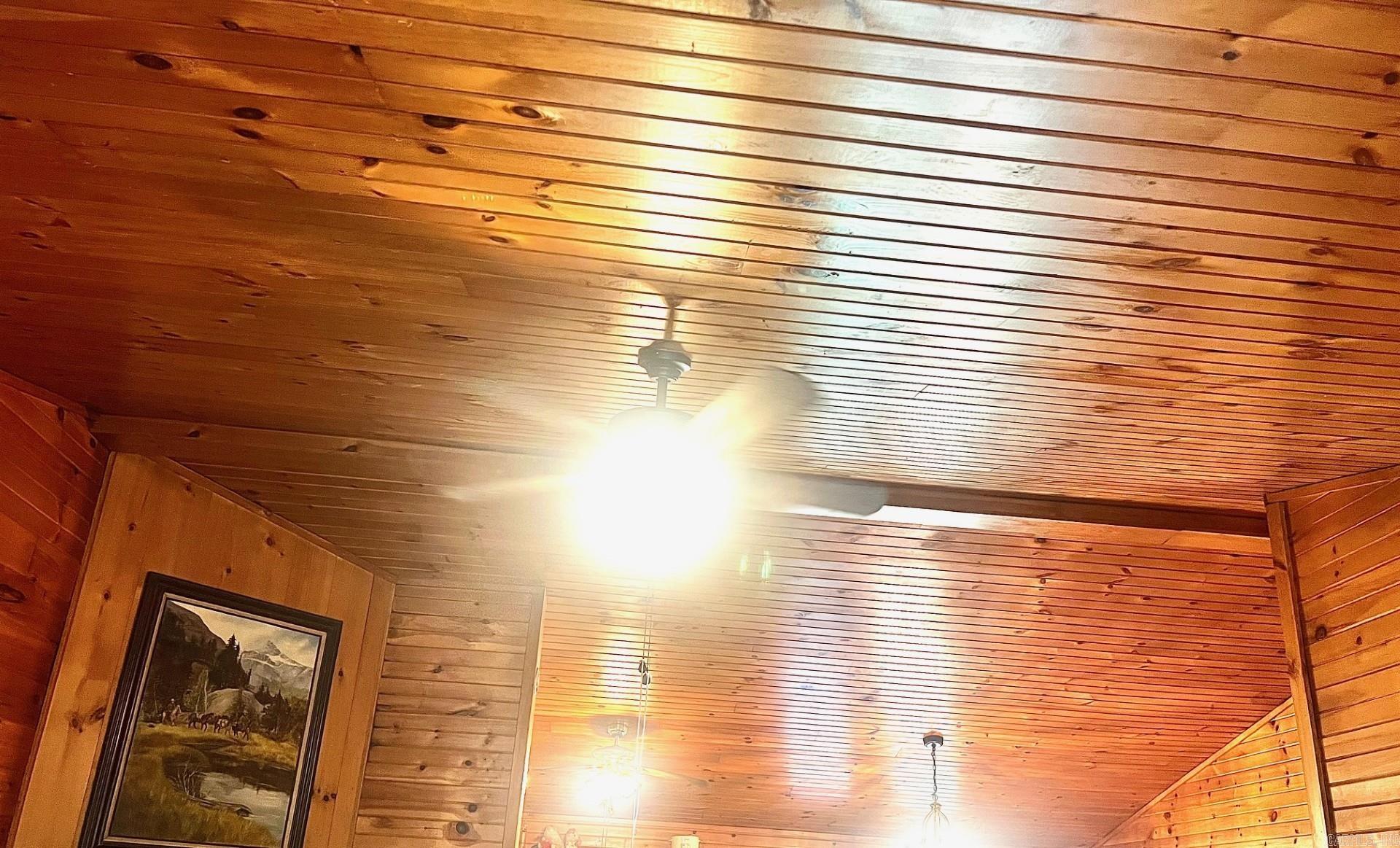 154 McJester Road Pangburn, AR 72121