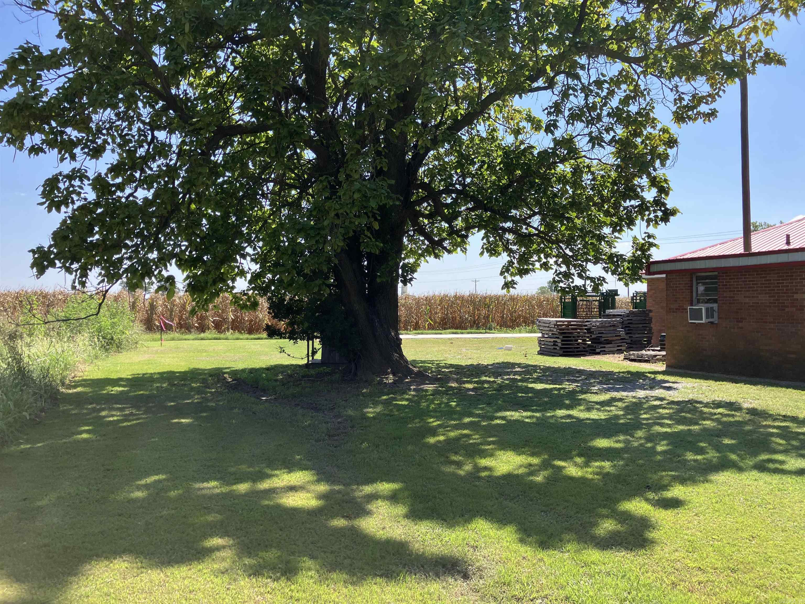 1430 E Main  Piggott, AR