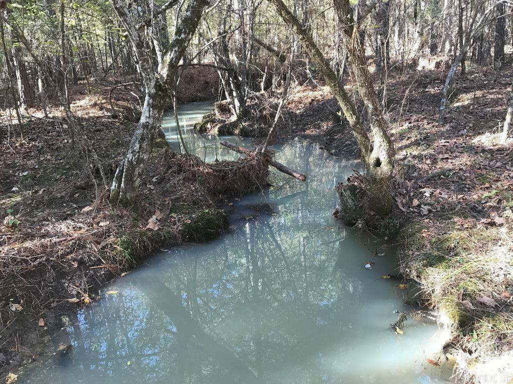 160 Slytown  Amity, AR