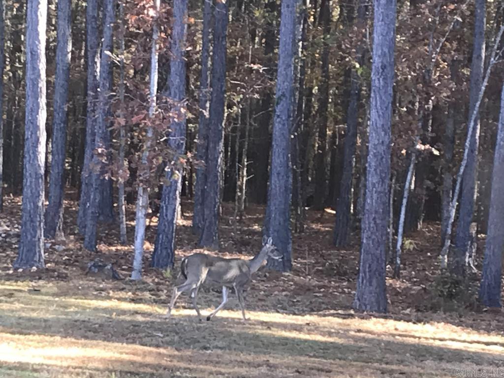 160 Slytown  Amity, AR