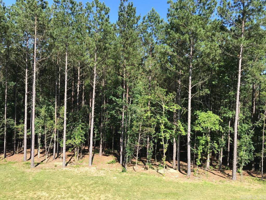 160 Slytown  Amity, AR