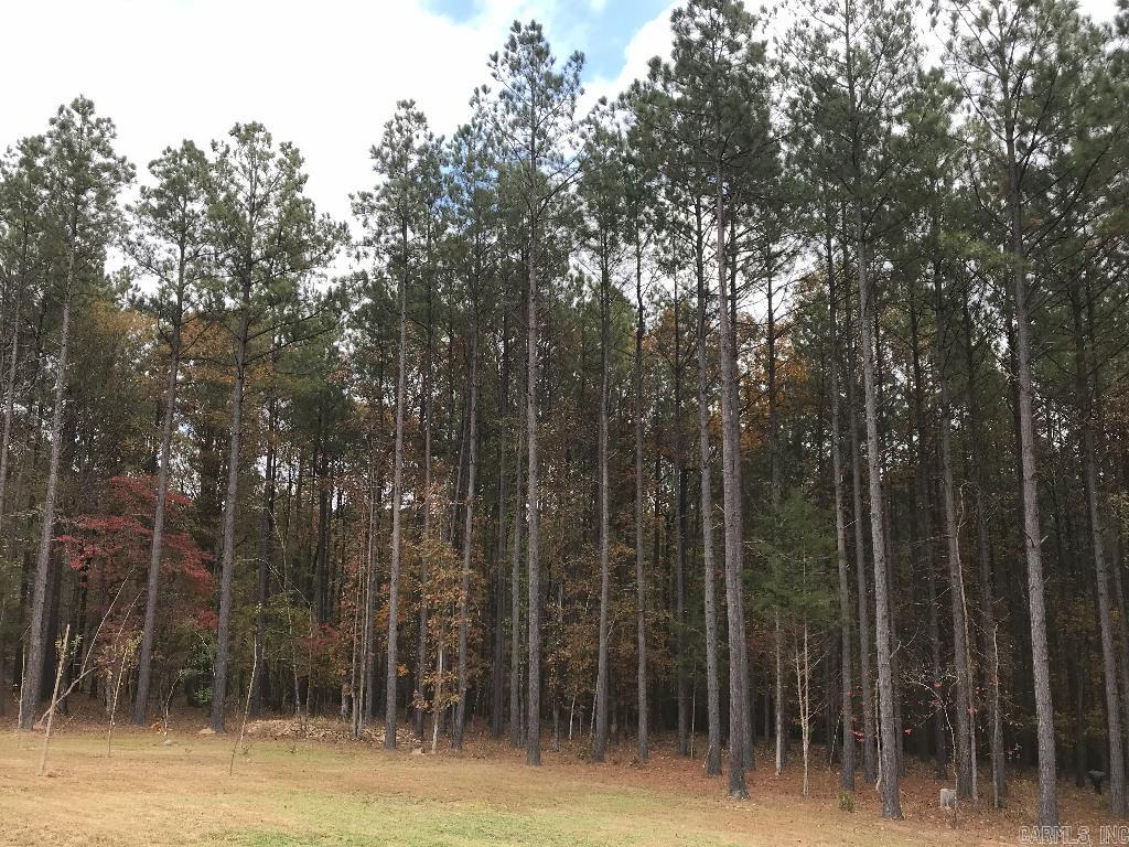 160 Slytown  Amity, AR