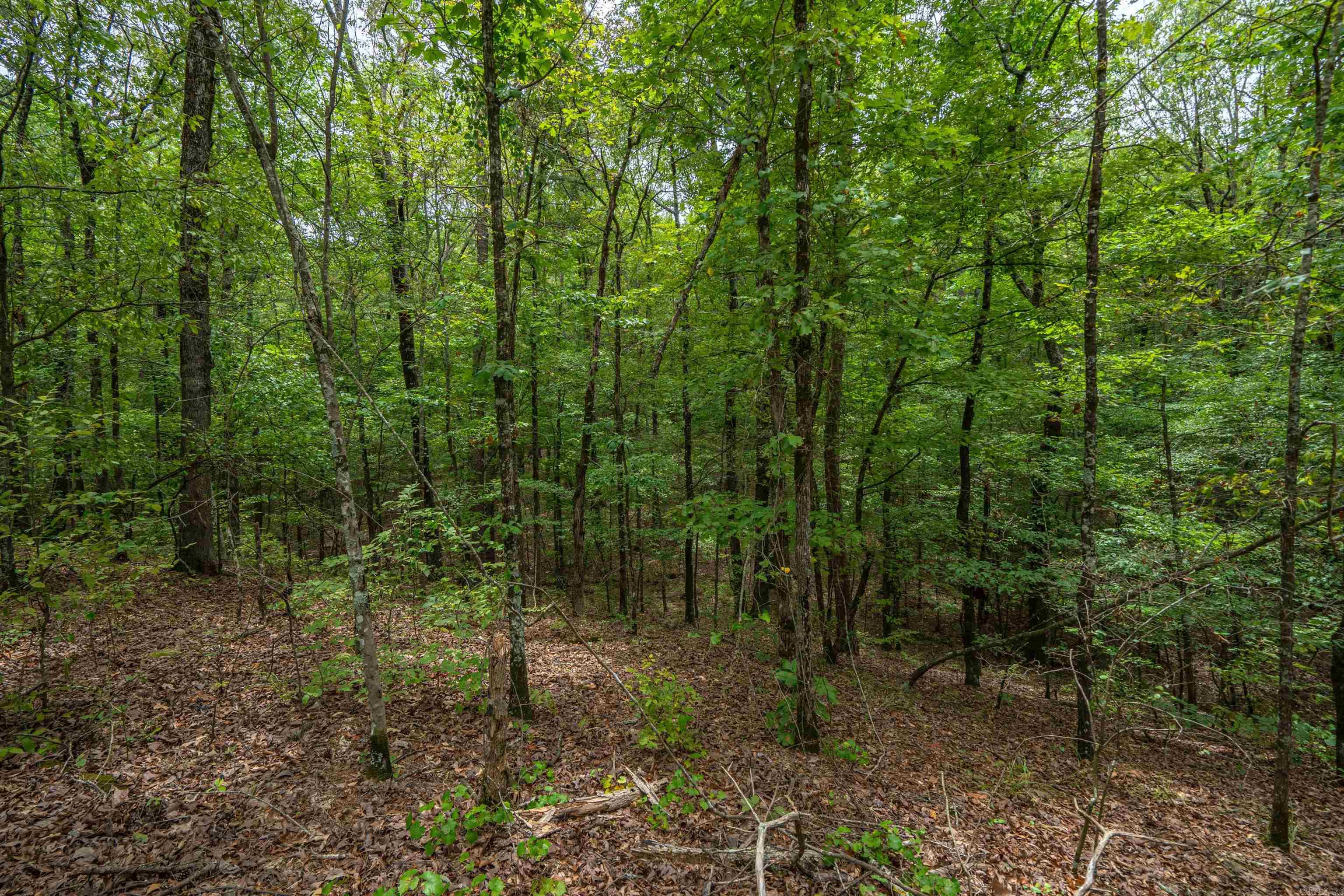 Lot 2 Eagles Nest  Malvern, AR