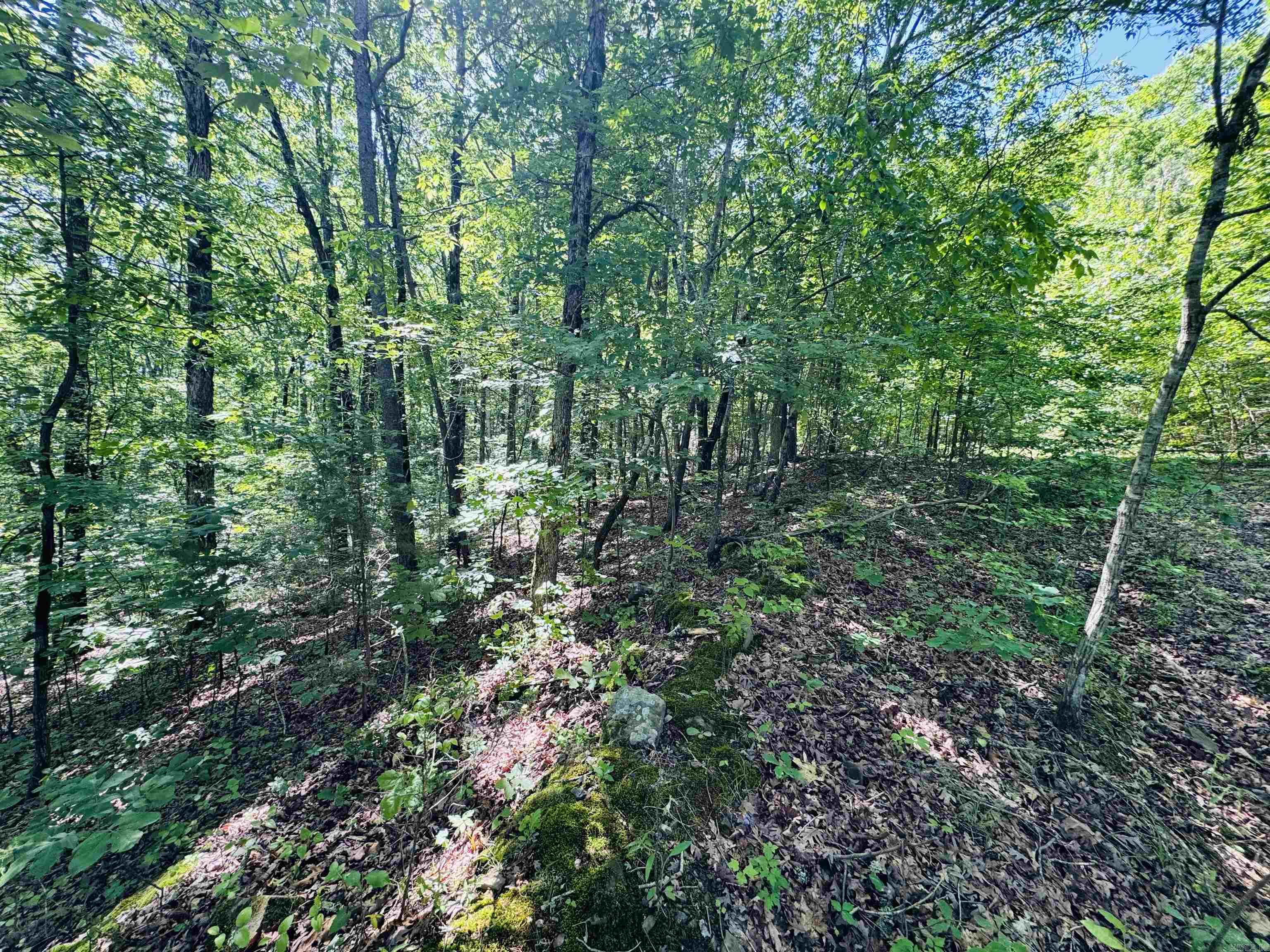 LOT 24 COX DRIVE  Quitman, AR