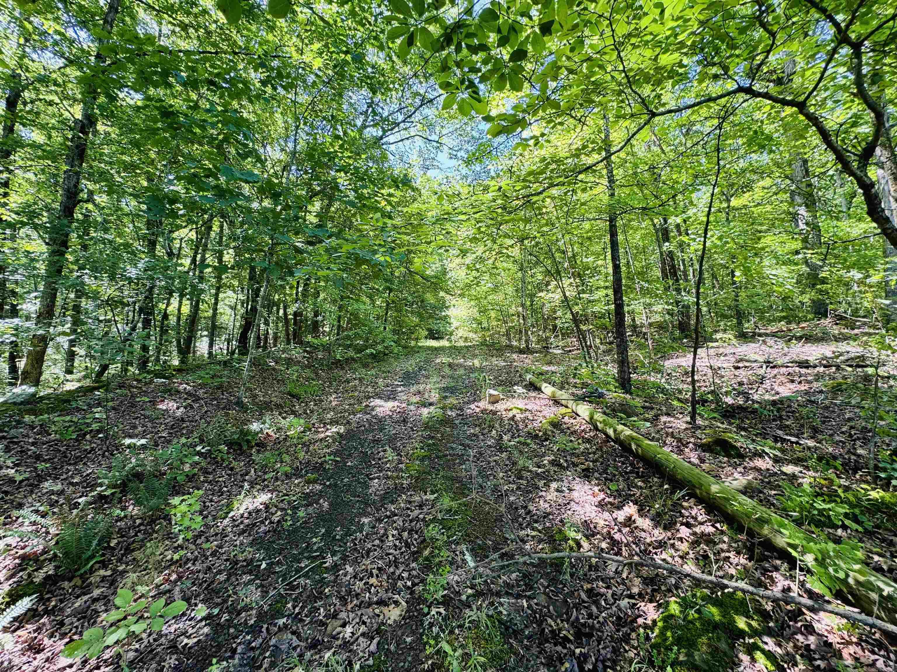 LOT 24 COX DRIVE  Quitman, AR