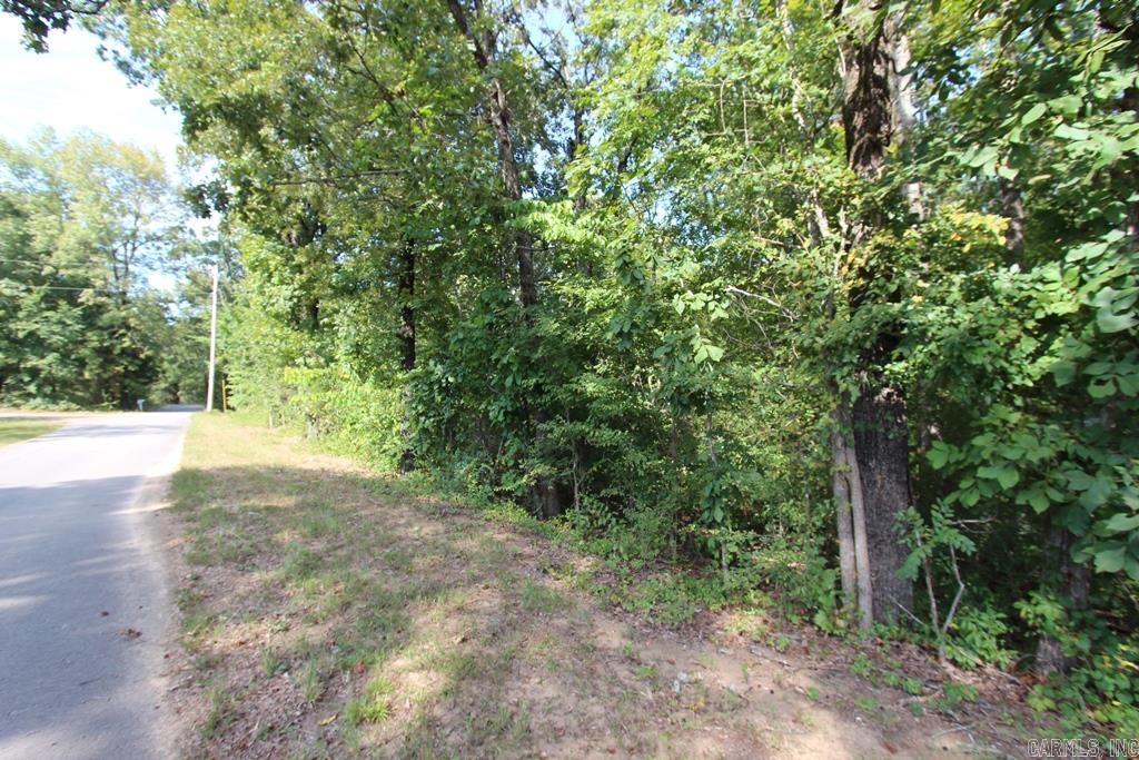 16 Fox Hill  Greenbrier, AR