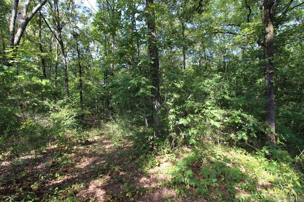 16 Fox Hill  Greenbrier, AR